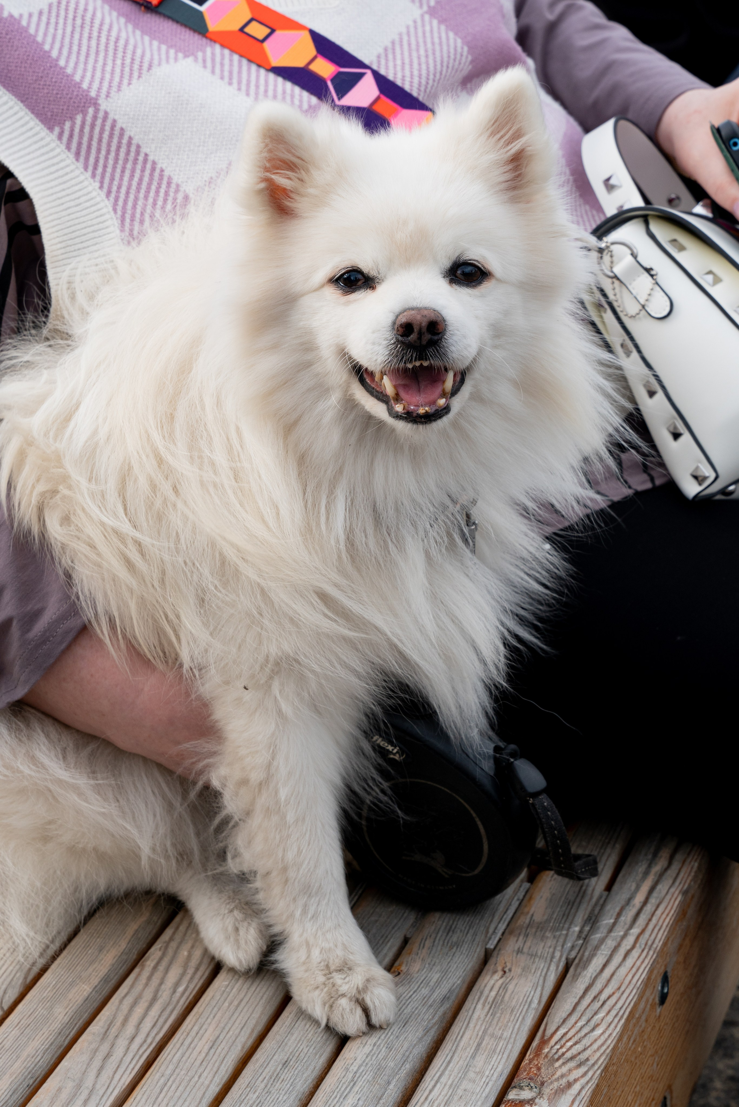 ОТКРЫТИЕ НАБЕРЕЖНОЙ В ЧУРИЛОВО. Фотограф на любое мероприятие