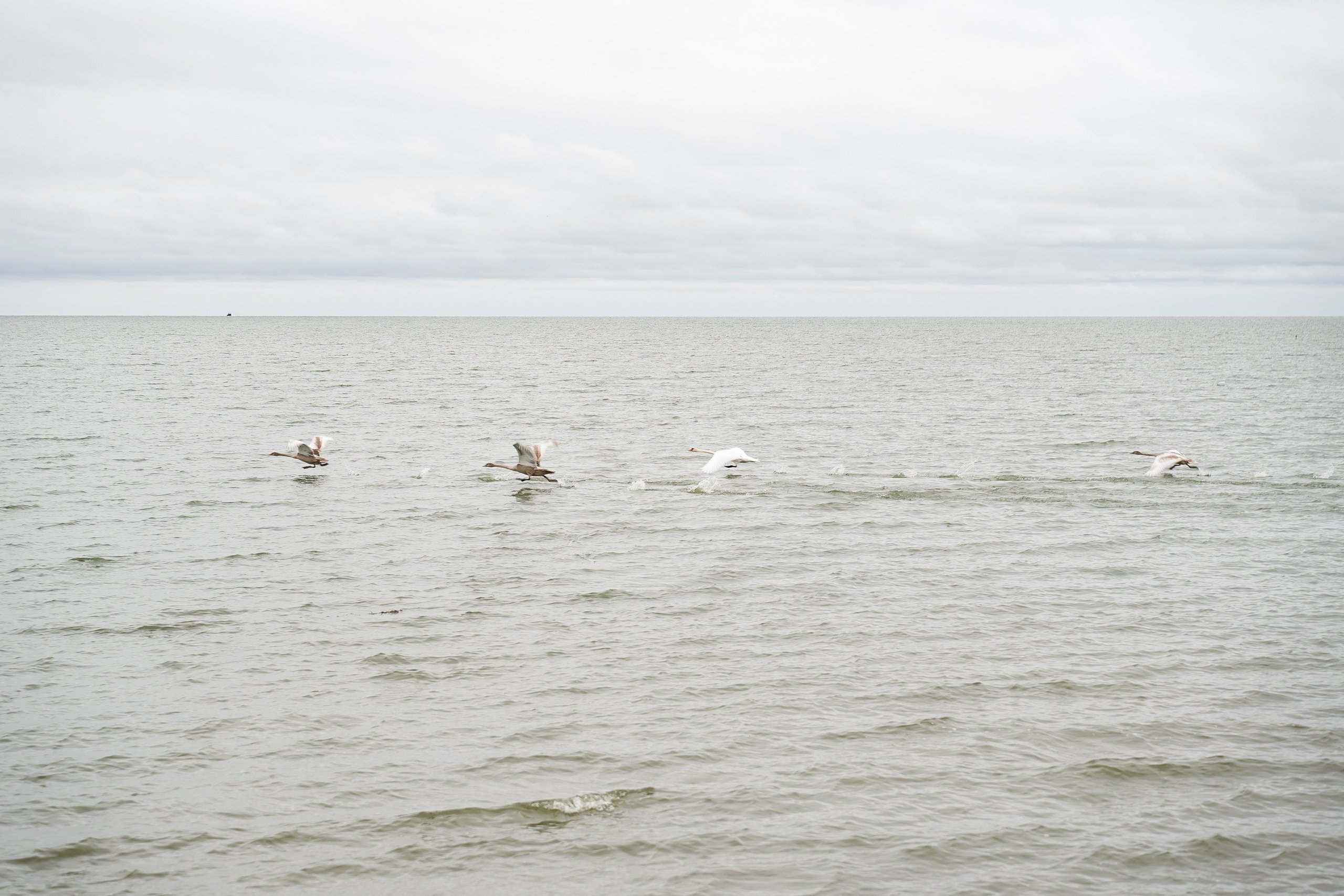 Маргарита & Рафаэль 12.09.2024. Свадебный Фотограф Илья Чепайкин. Калининград