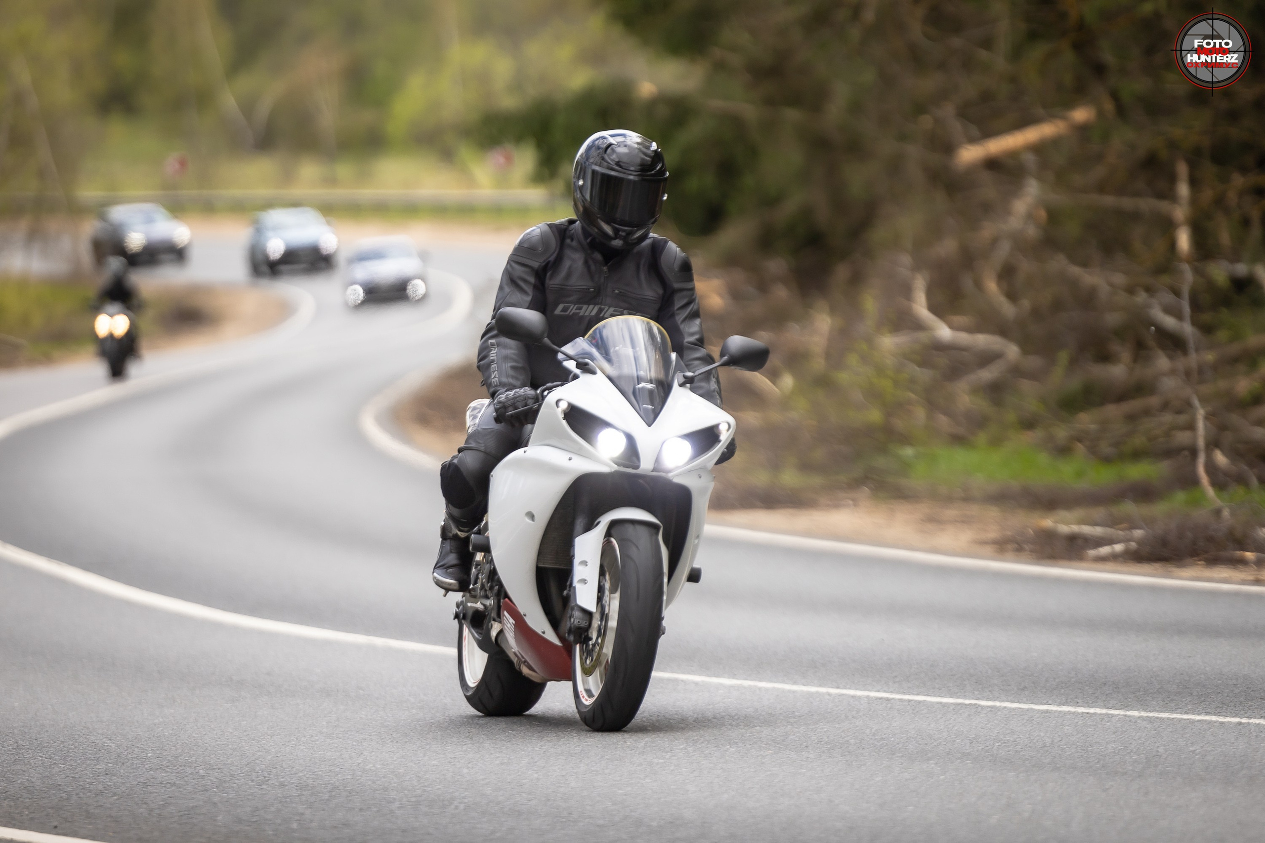 Первое Сафари в 2025 г. на Рогачевском ш. Фотограф Владимир Охрименко