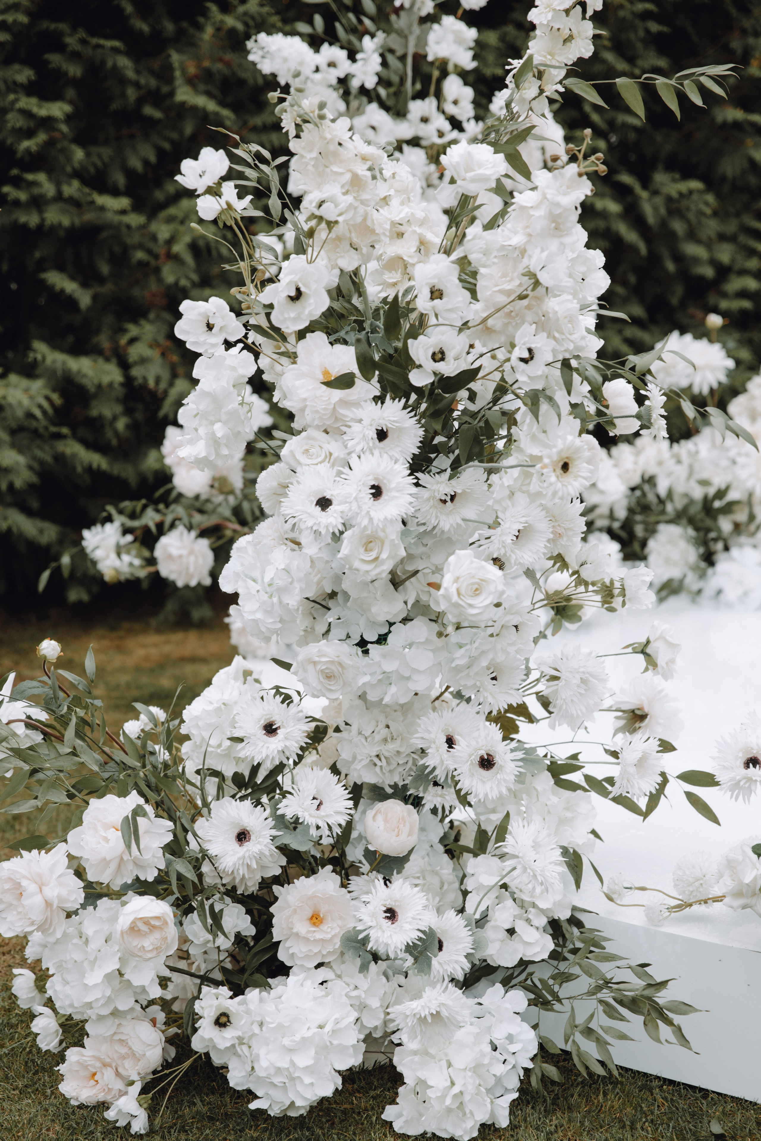 Альберт и Лера. Свадебный фотограф Анжелика Сариева