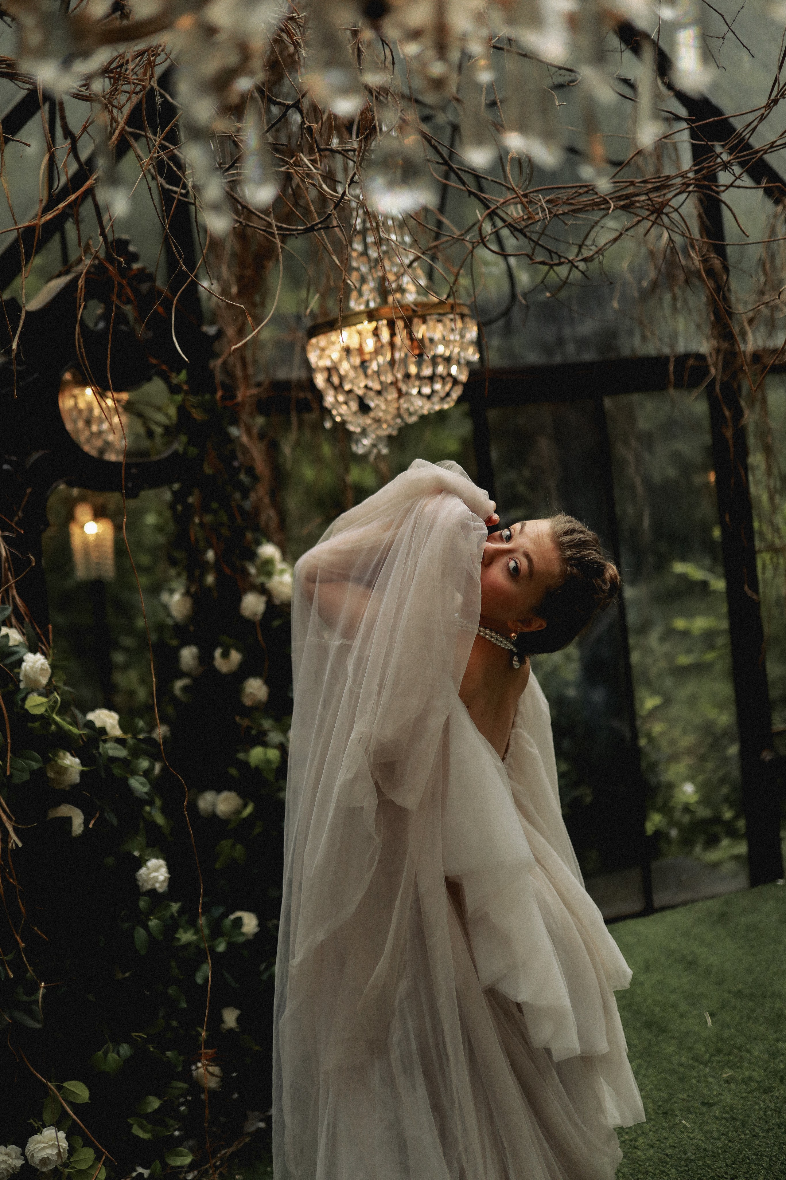 Зачарованный лес