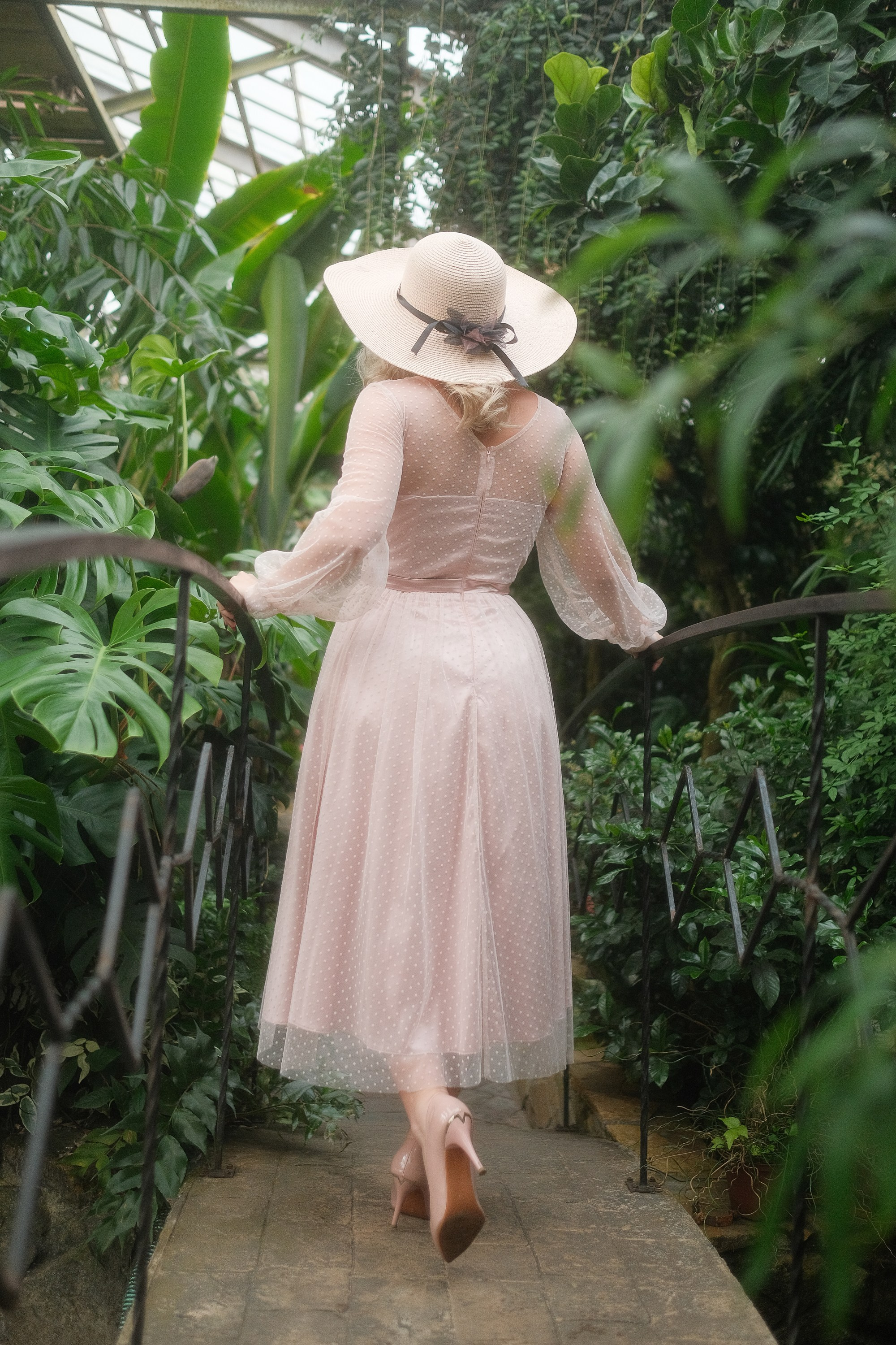 Greenhouse. Aleksandr Schafft