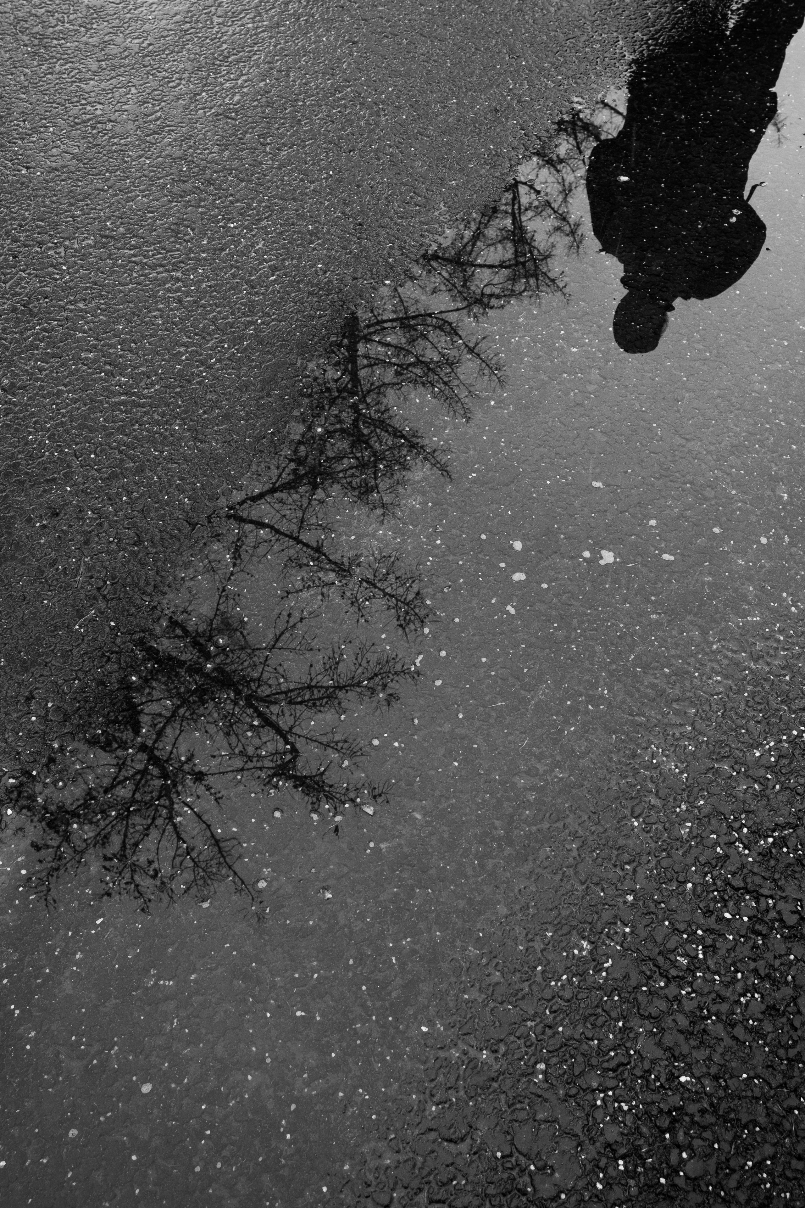 Лужники. Портретный и архитектурный фотограф в Москве и Санкт-Петербурге