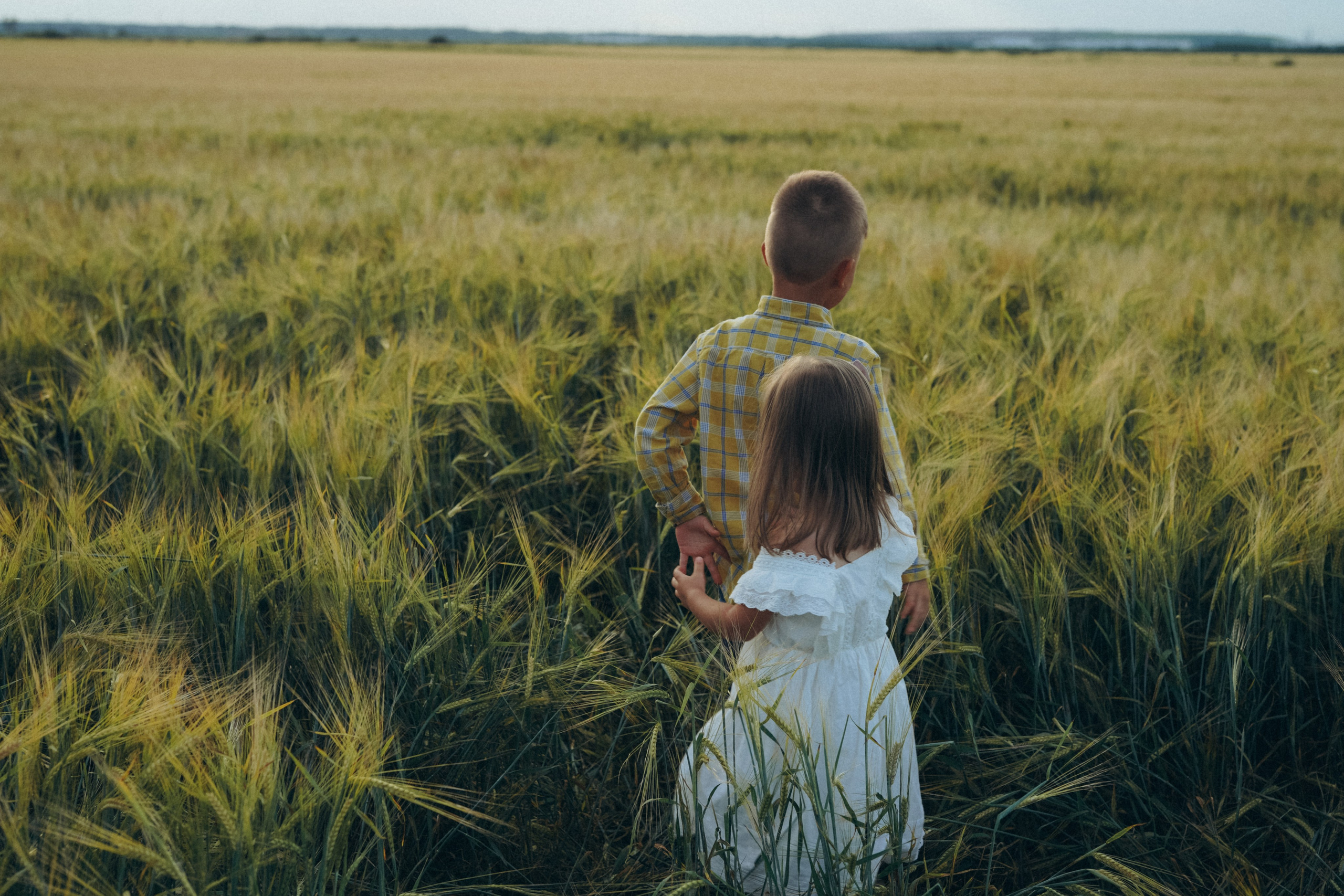 Пшеничное поле. Семейный и женский фотограф в Санкт-Петербурге Татьяна Стружкина