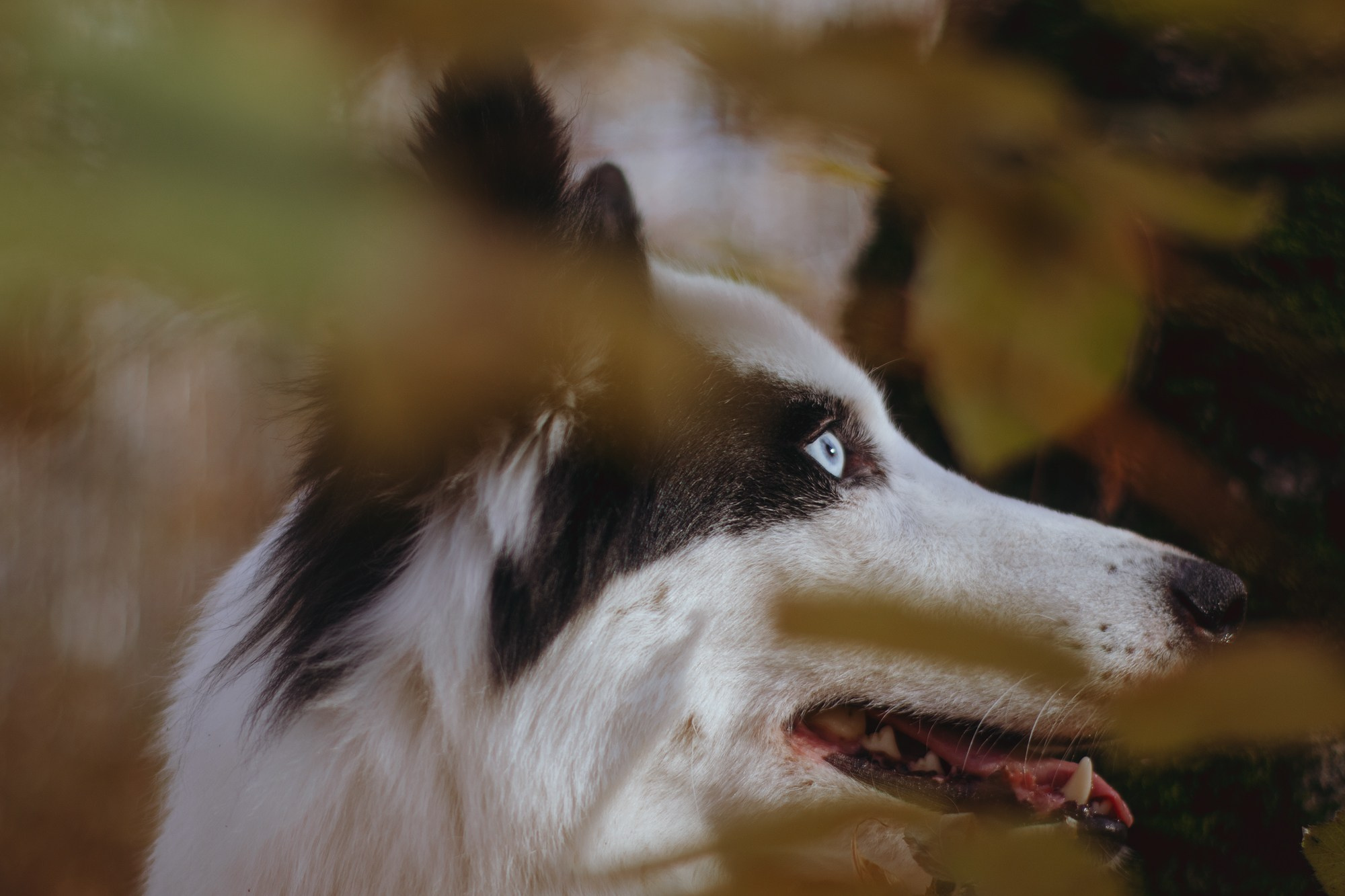Ликёр. Фотограф в Тюмени Лизавета Сапицкая