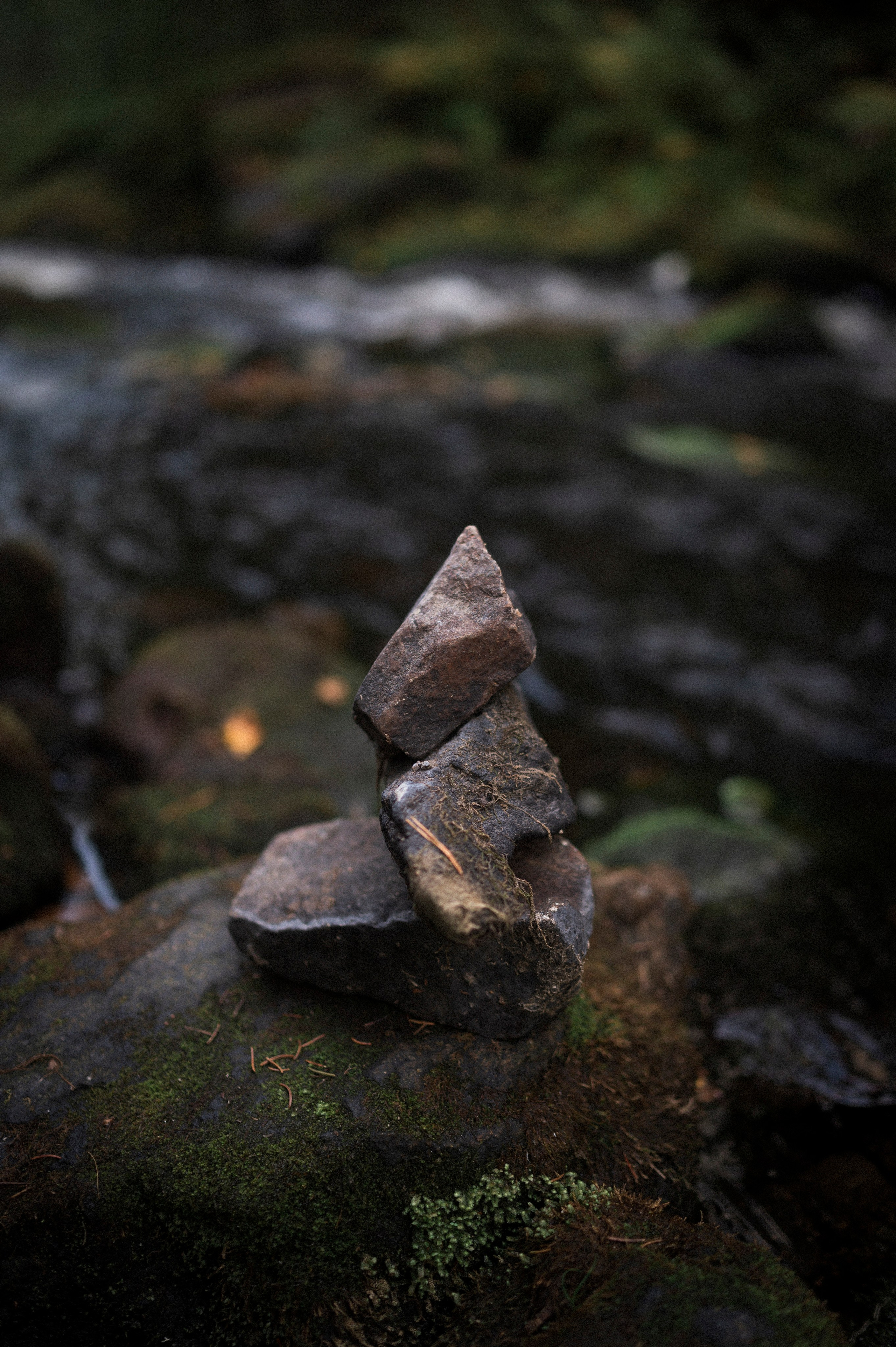 North 2024. Kartascheff