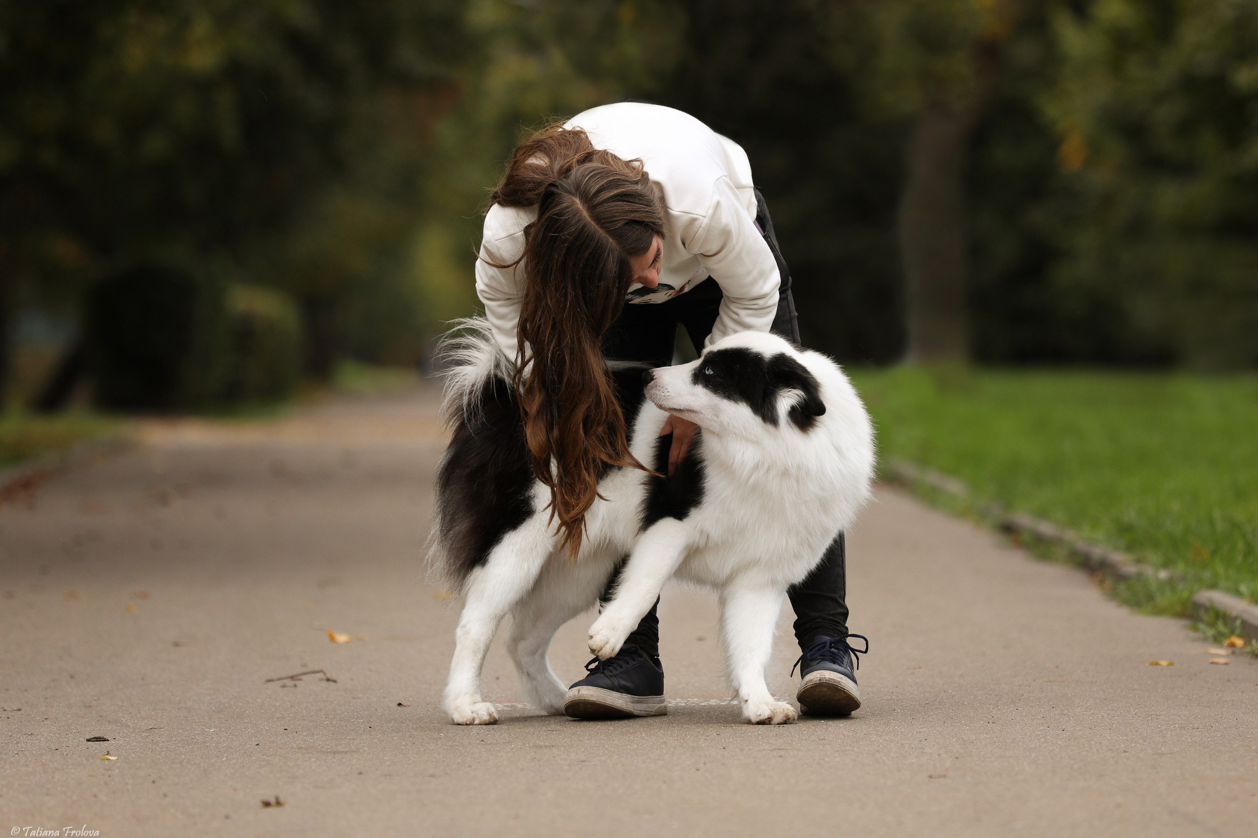 Небольшая фотосессия в Москве после выставки собак. Фотограф-анималист в Москве и Московской области Татьяна Фролова