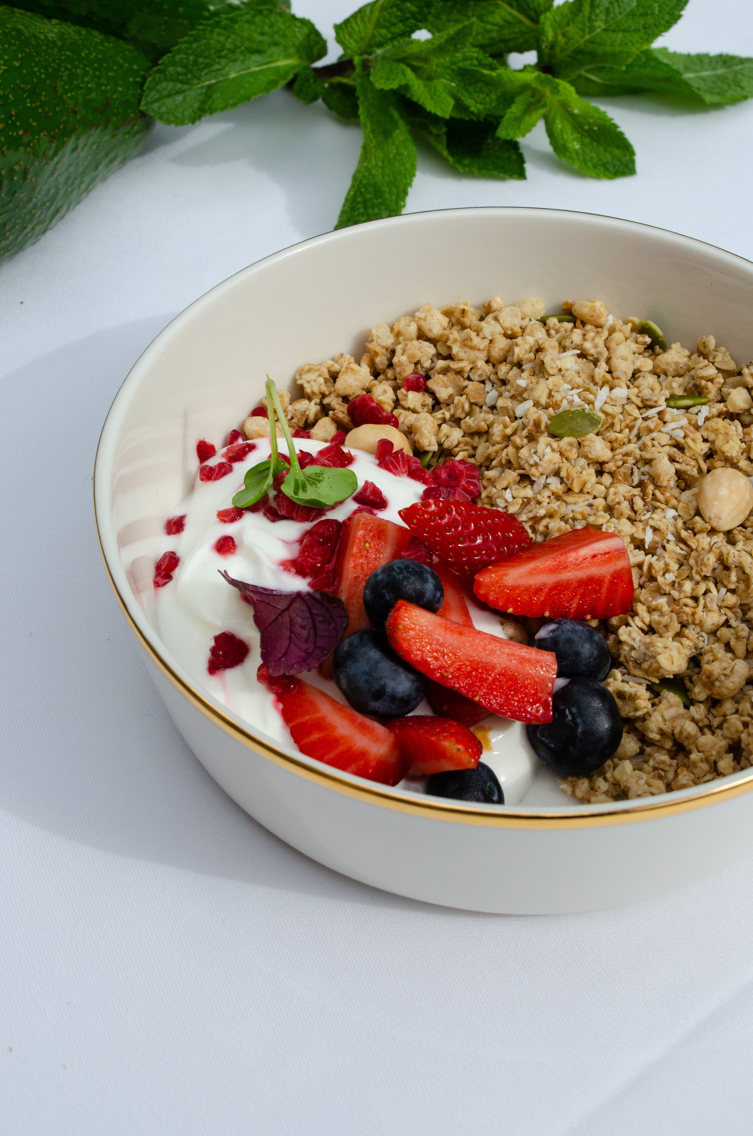 Роза Хутор Modys ресторан. Фотограф