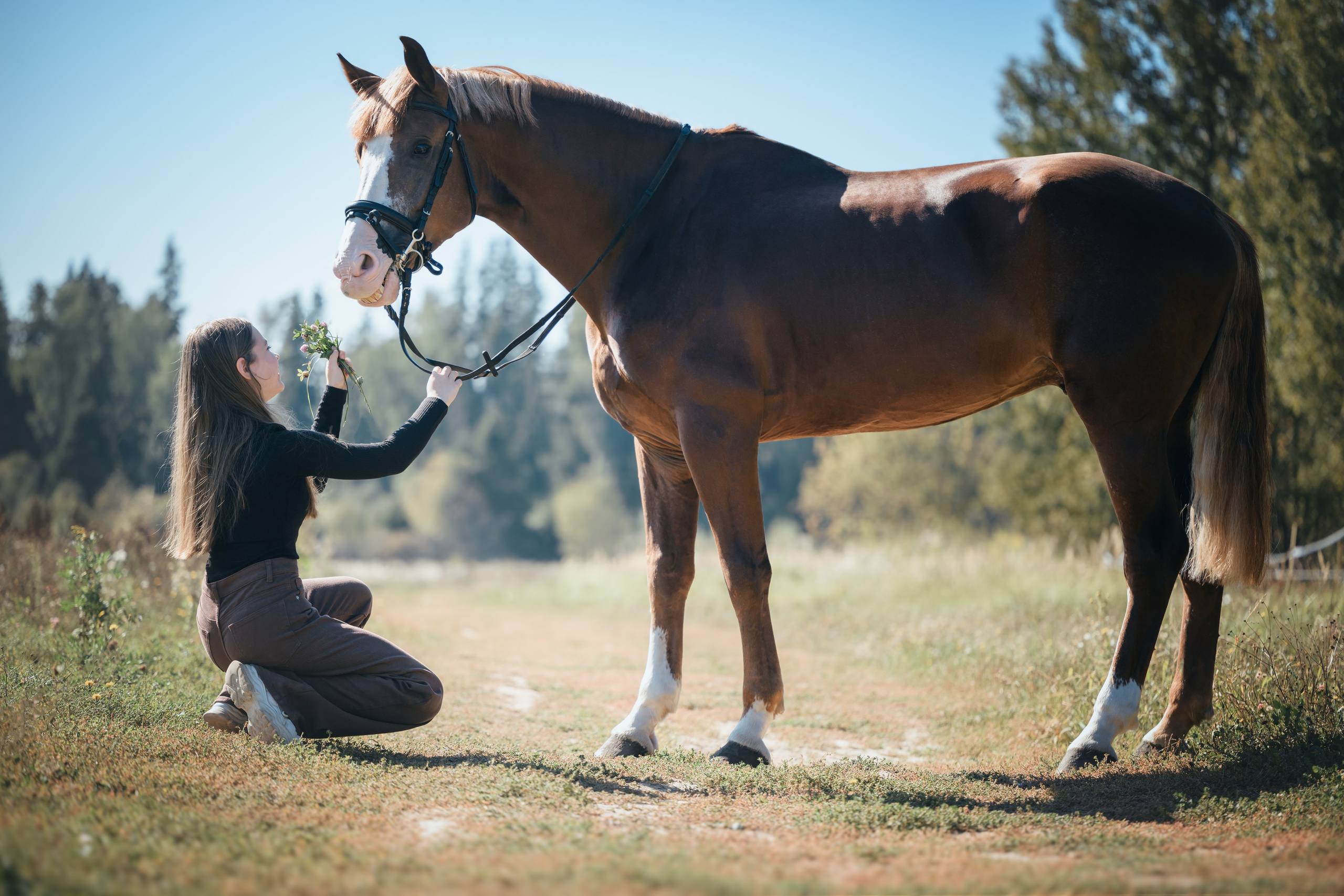 Виктория и Лео. Фотограф Анималист в Москве Анастасия Жучкова