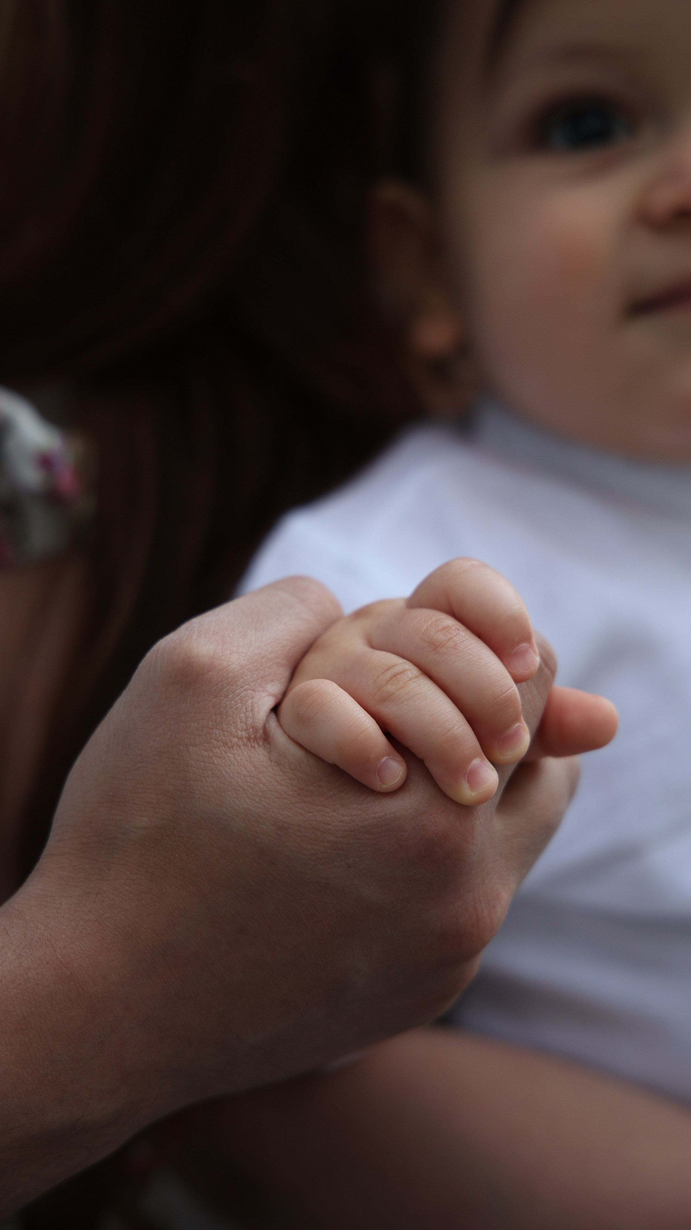 Робби 1 год. Свадебный фотограф в Крыму