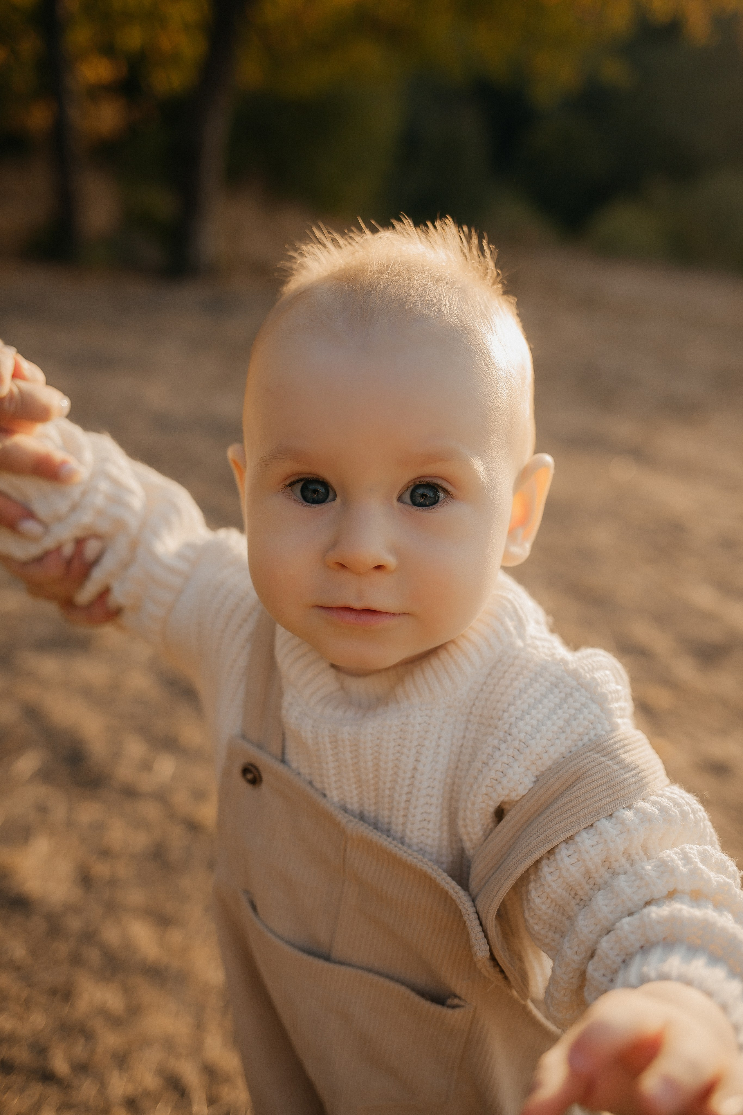 Александр, Екатерина и Данил. Фотограф Ольга Сапронова. Свадебный фотограф Ольга Сапронова