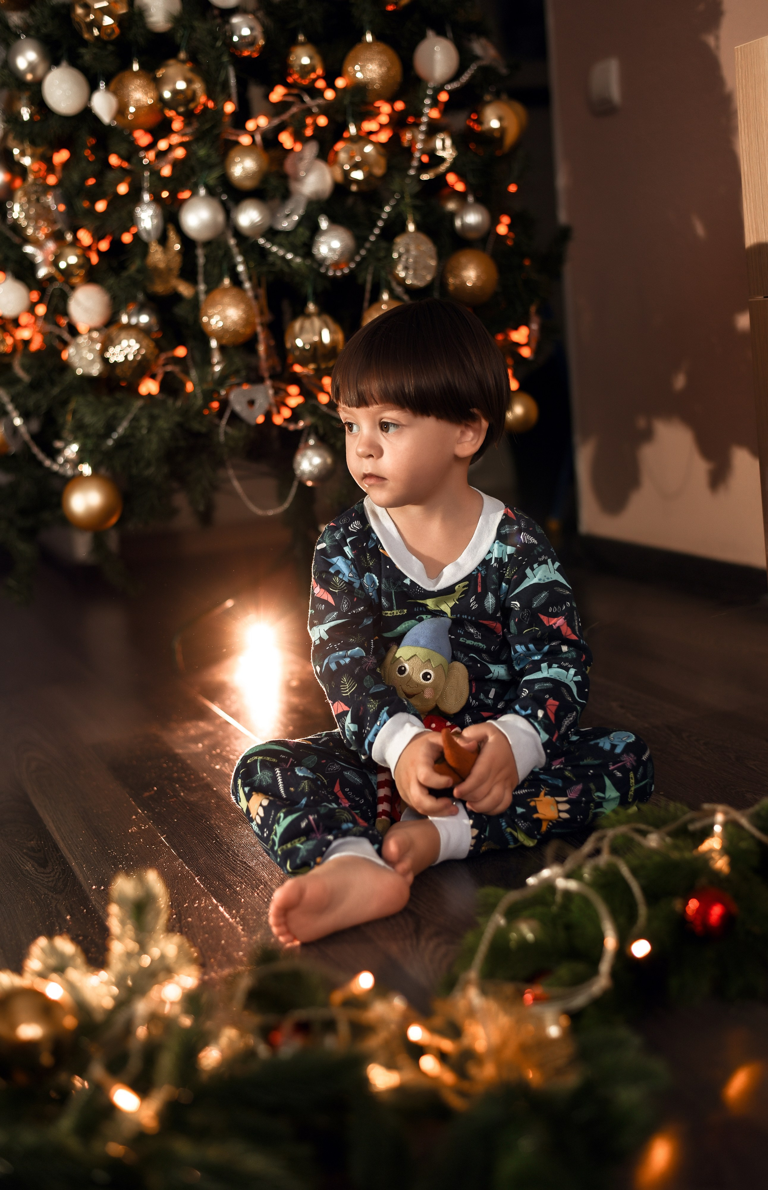Домашняя новогодняя. Свадебный, семейный, детский, контент фотограф в Омске Максим Ильин