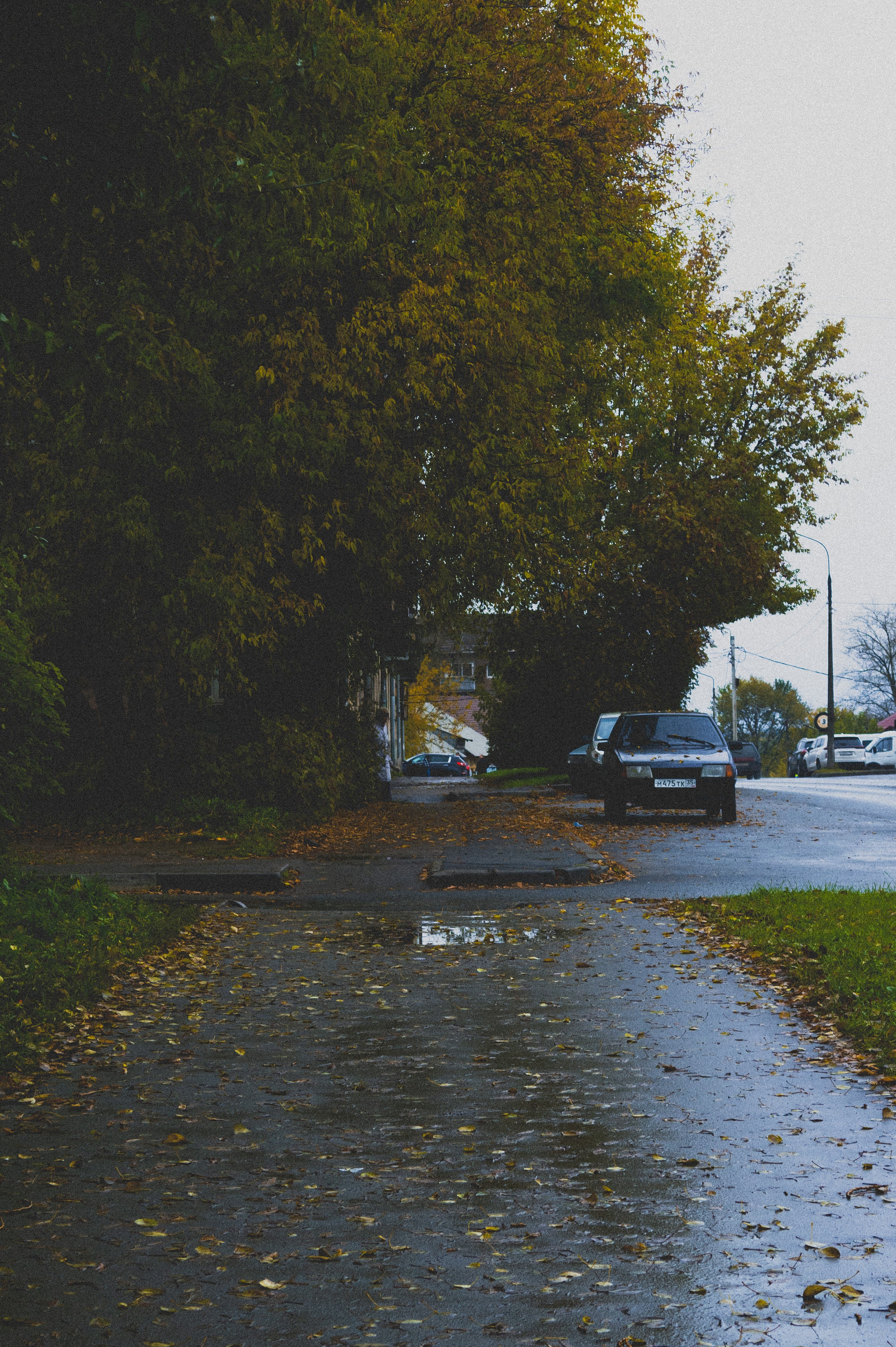 Октябрь 2025. Den Mirov — Фотограф, Музыкант