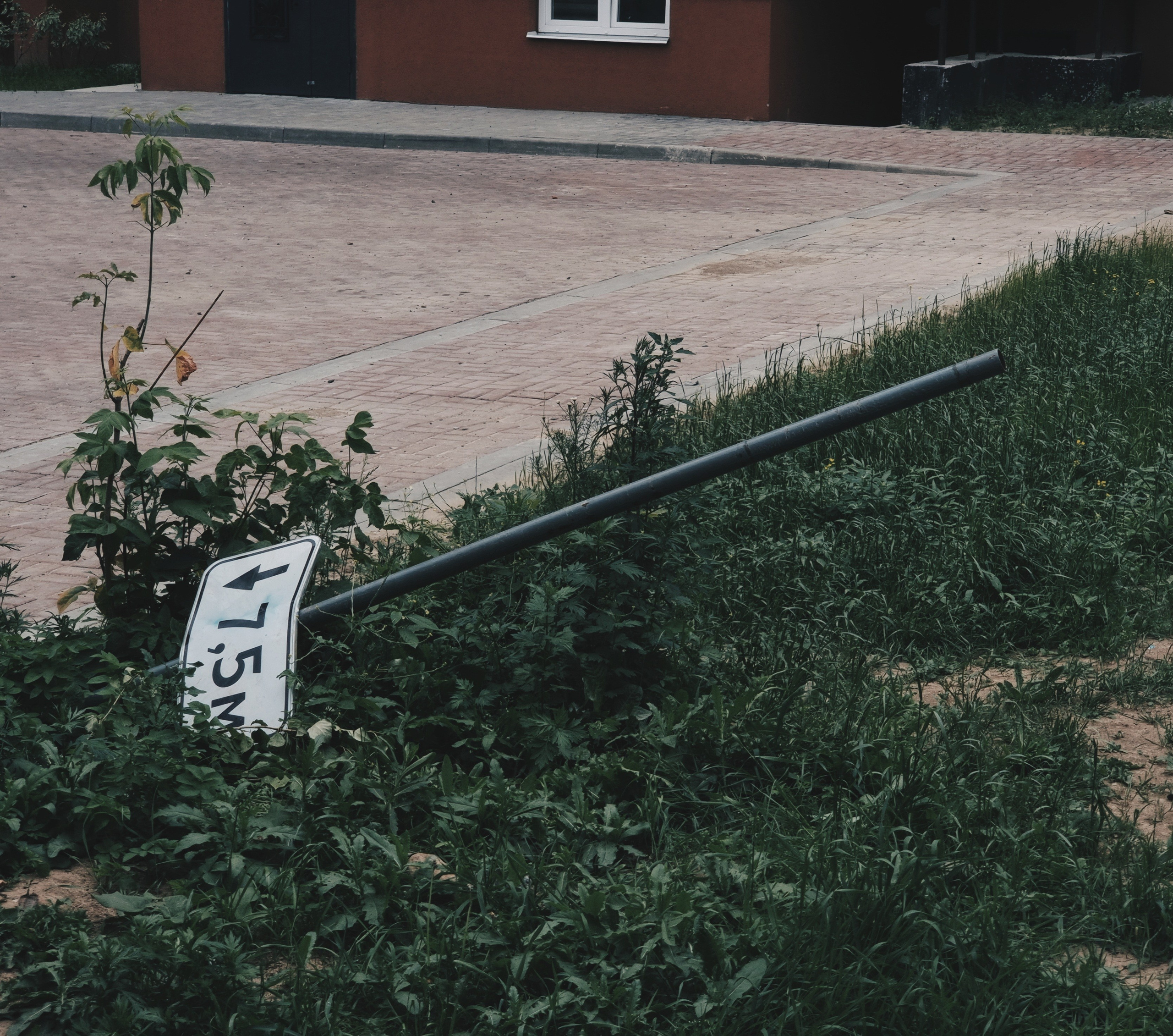 Июль 2025. Den Mirov — Фотограф, Музыкант