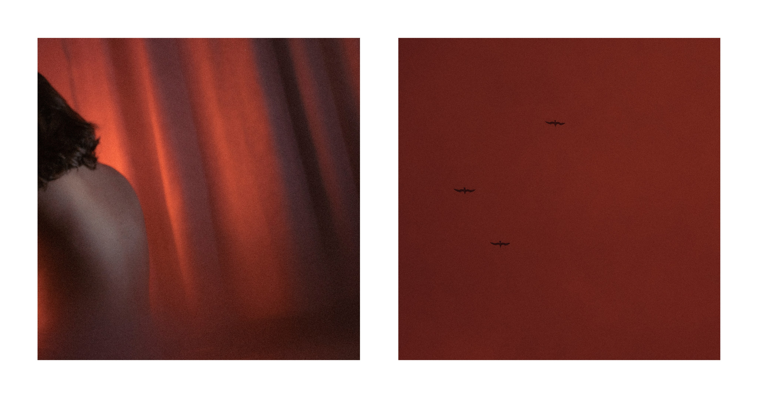 Interpretation. VISUAL ARTIST · KRONGAUZ ANASTASIA