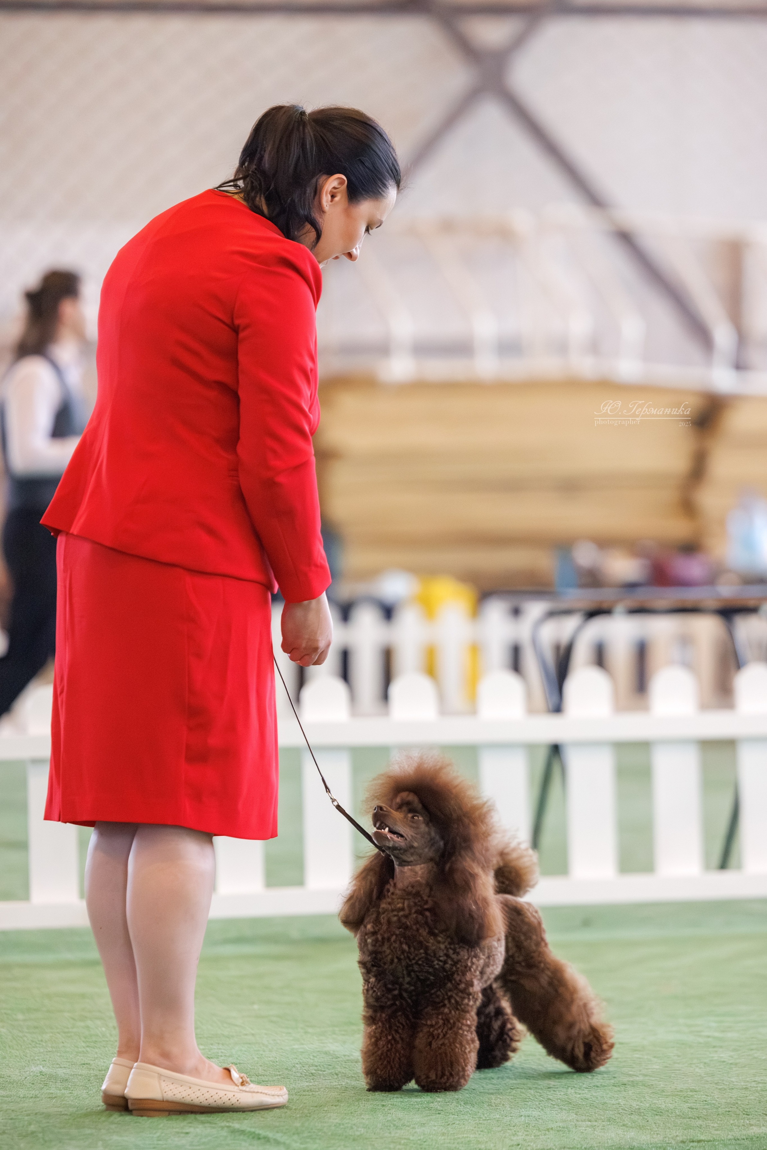 Батуми 3хCACIB 27-29.06.2025. Фотограф-анималист Юлия Германика
