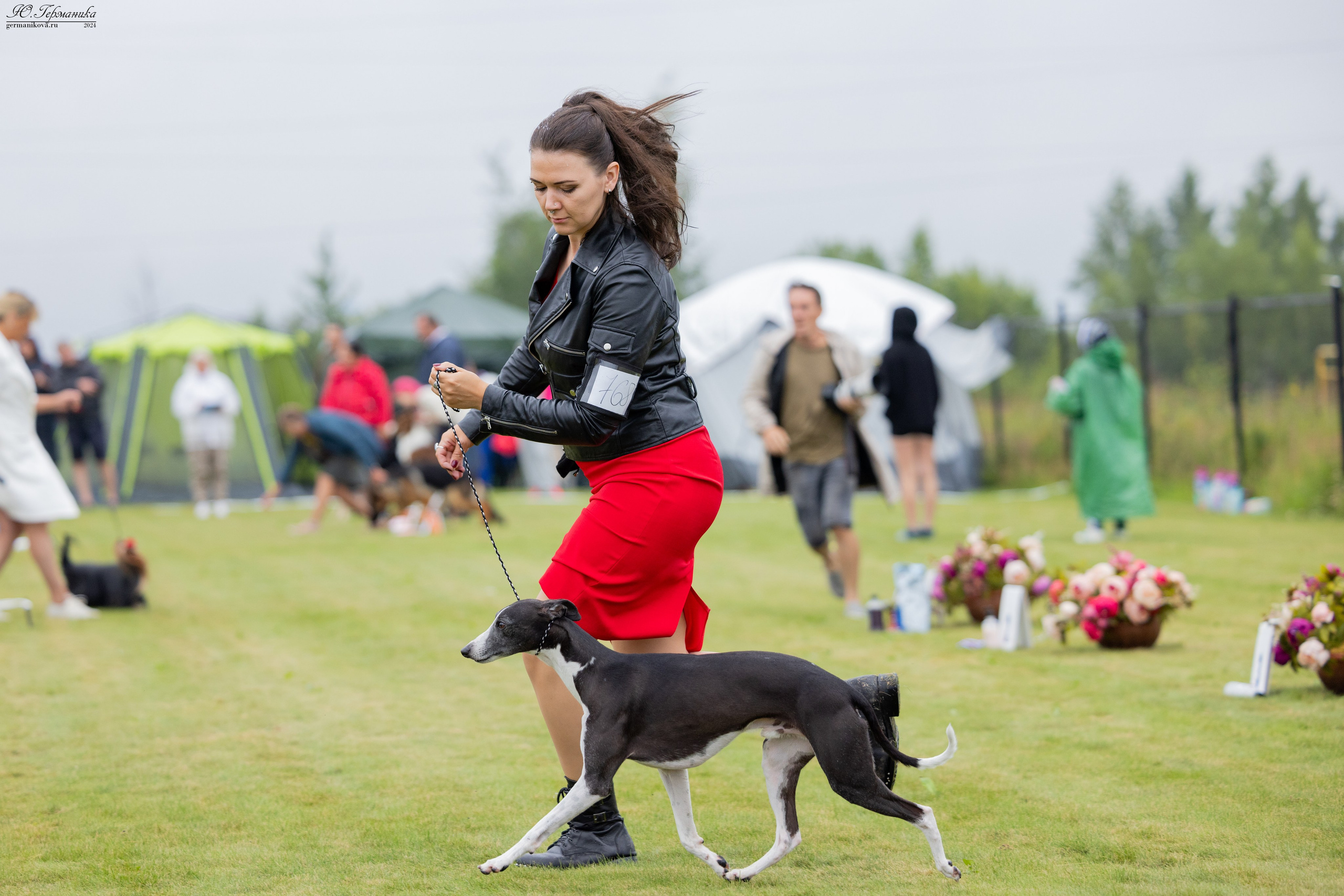 Ярославль 21.07.24 и Балашиха 13.07.24. Фотограф-анималист Юлия Германика