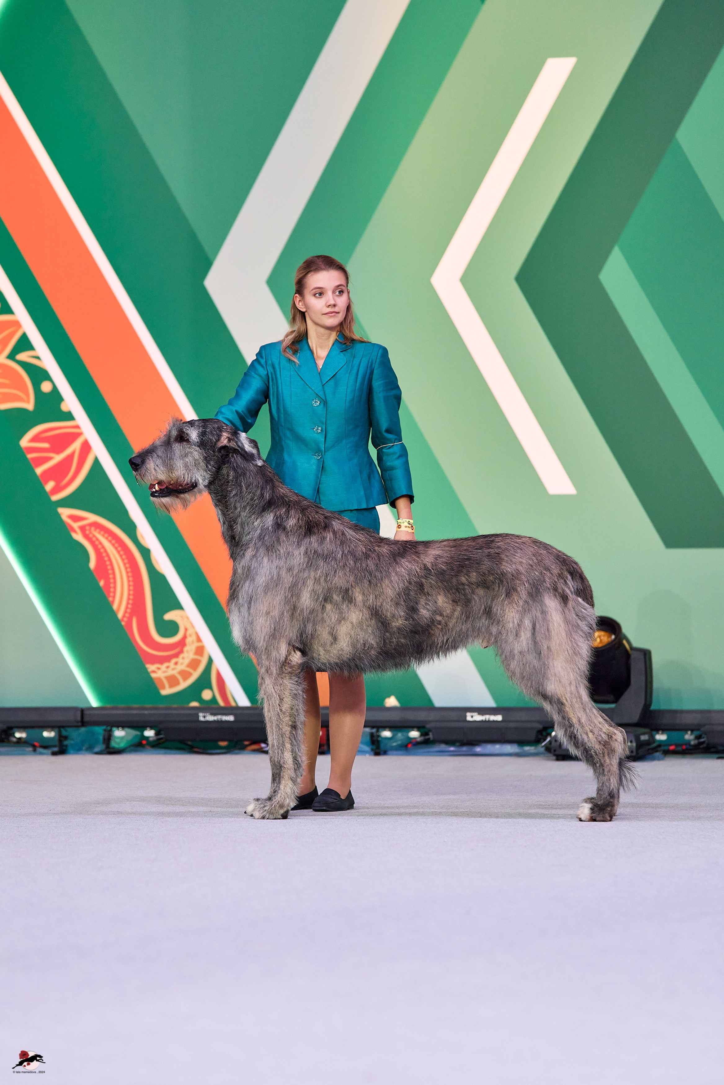 17.11.2024 «ЕВРАЗИЯ. КУБОК СНГ 2024»