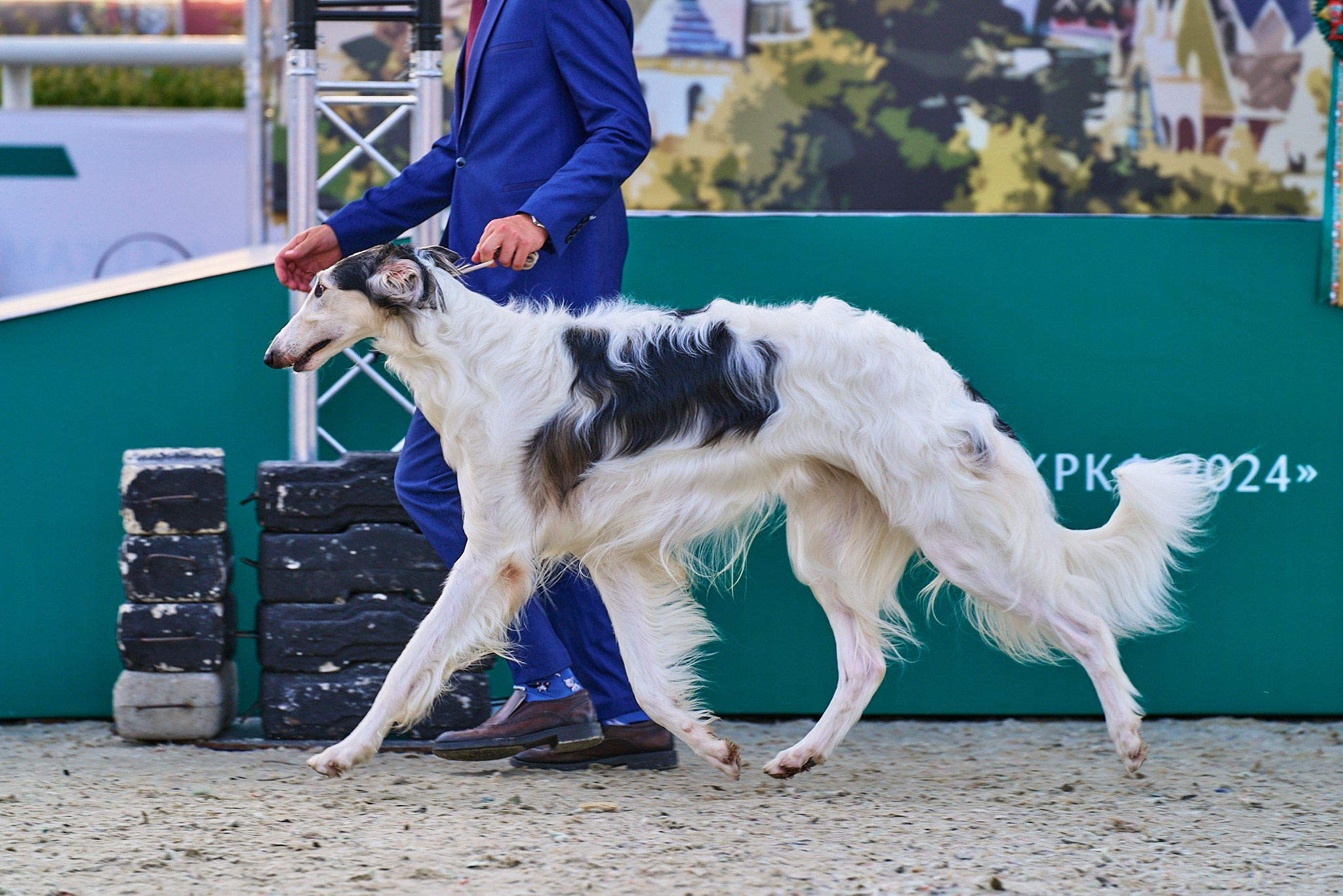 08.06.2024 «РОССИЯ. КУБОК РКФ 2024»