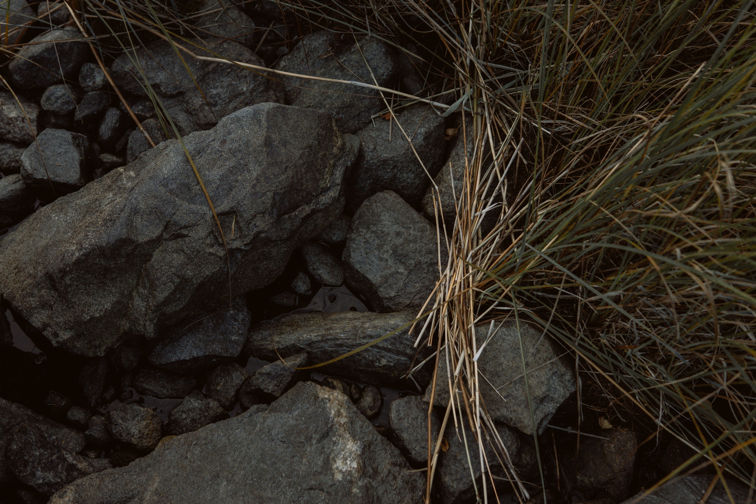 EXHIBITION. Репортажный и интерьерный фотограф, фотохудожник