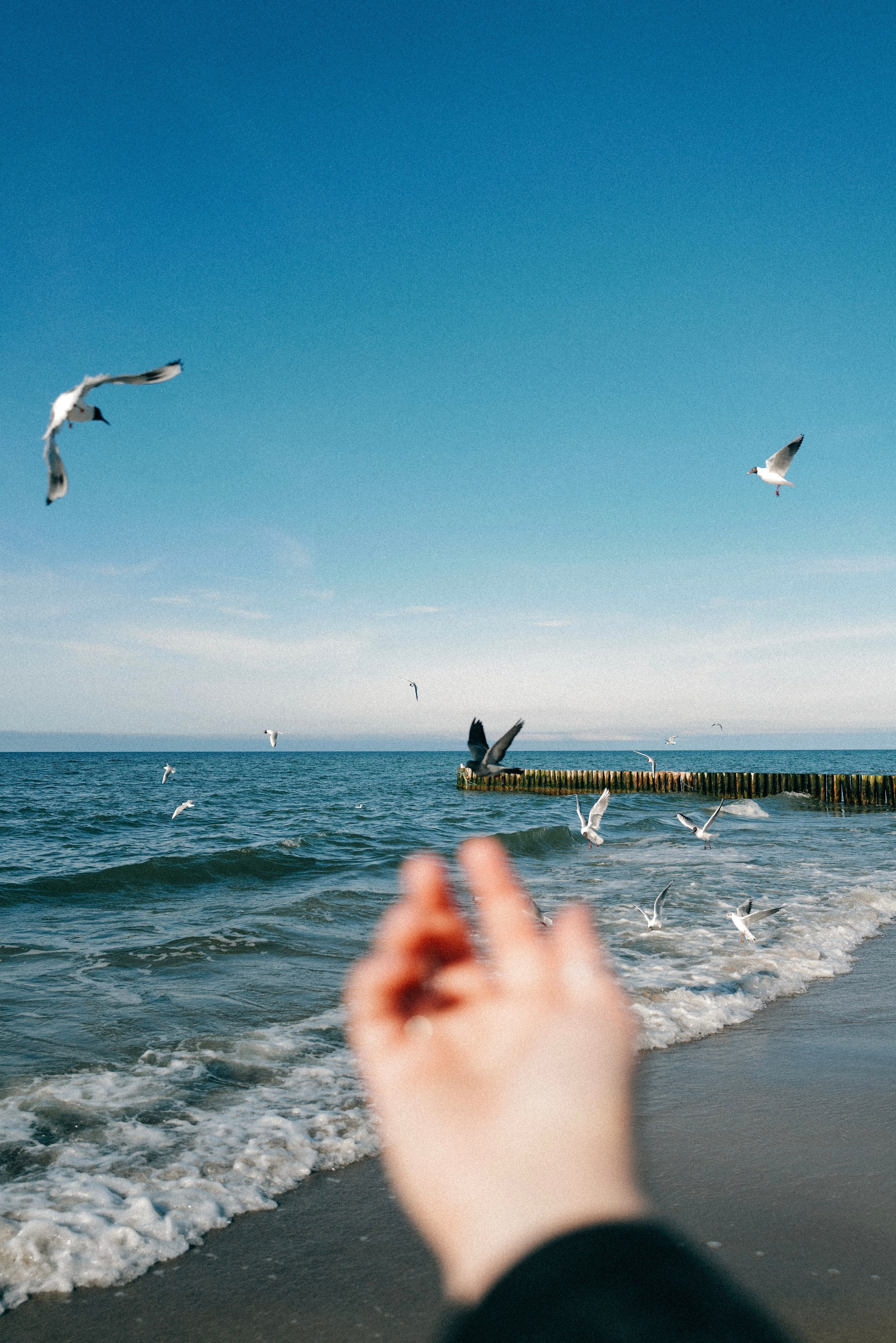 Zelenogradsk. Фотограф София Комкина