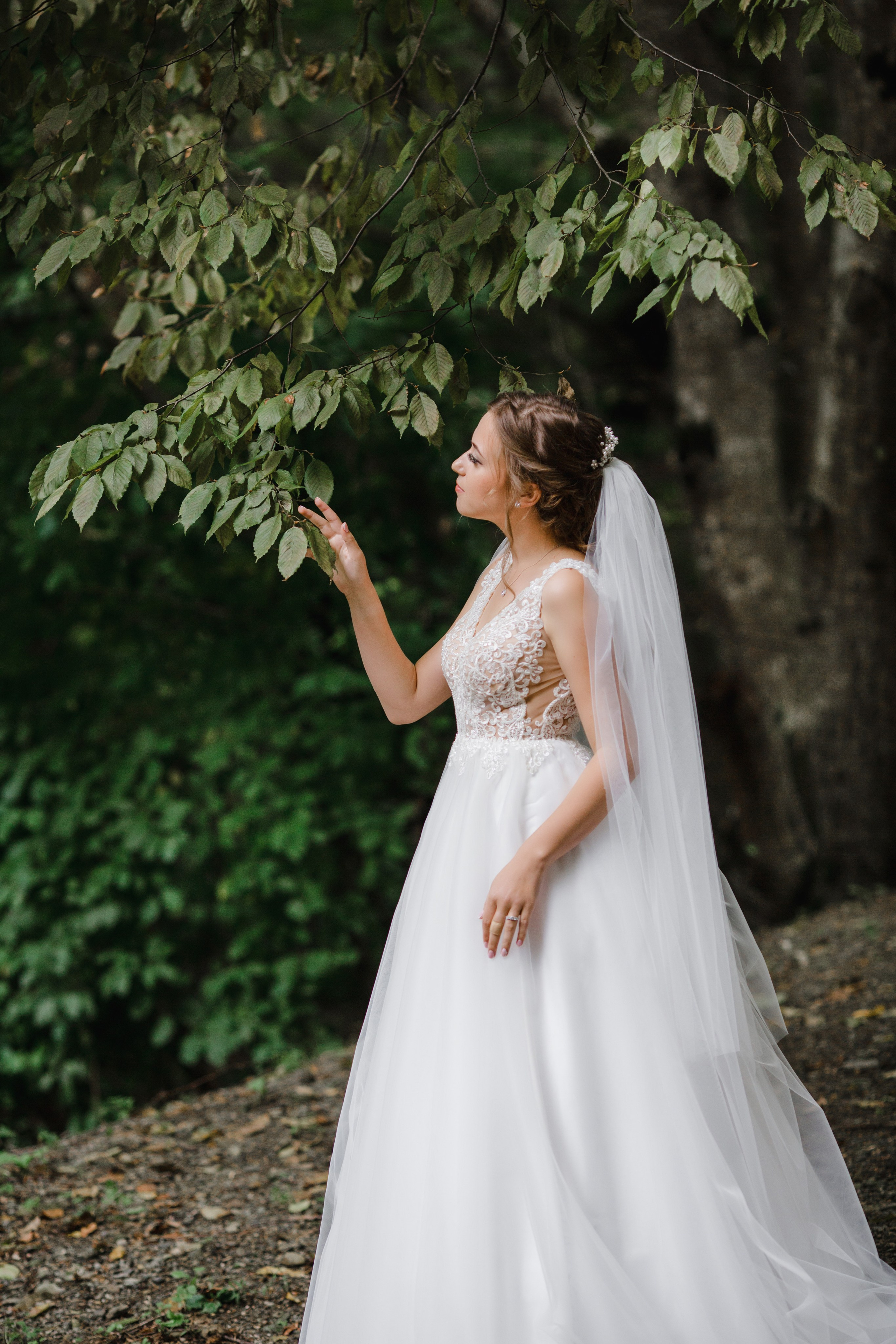 Свадьба в лесу. Свадебный и семейный фотограф в Краснодаре