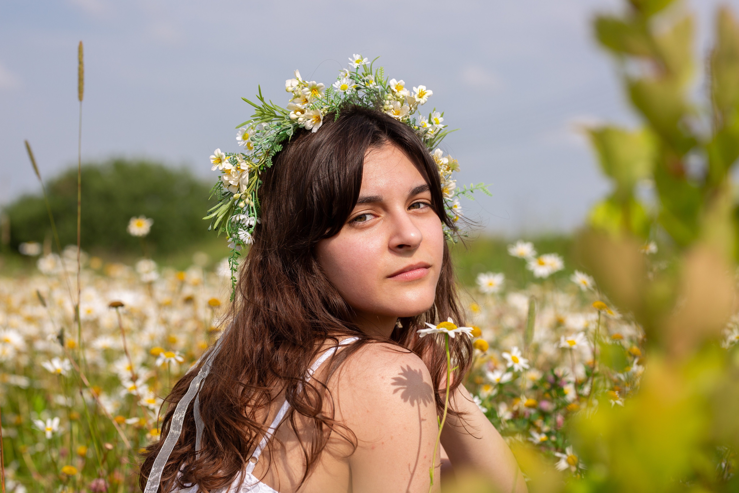 Солнечные цветы. Репортажный, семейный, свадебный, портретный фотограф