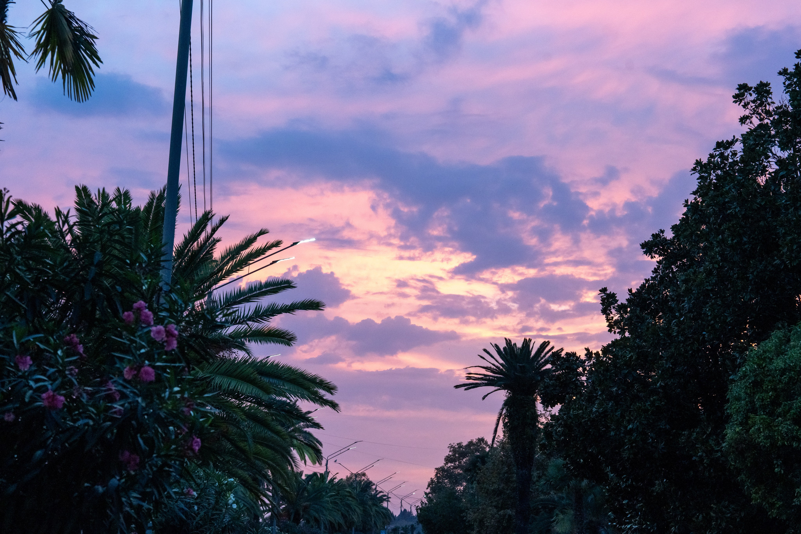 Mice мероприятие — тур по Абхазии. Репортажный фотограф в Красной Поляне и Сочи Павлюченко Екатерина