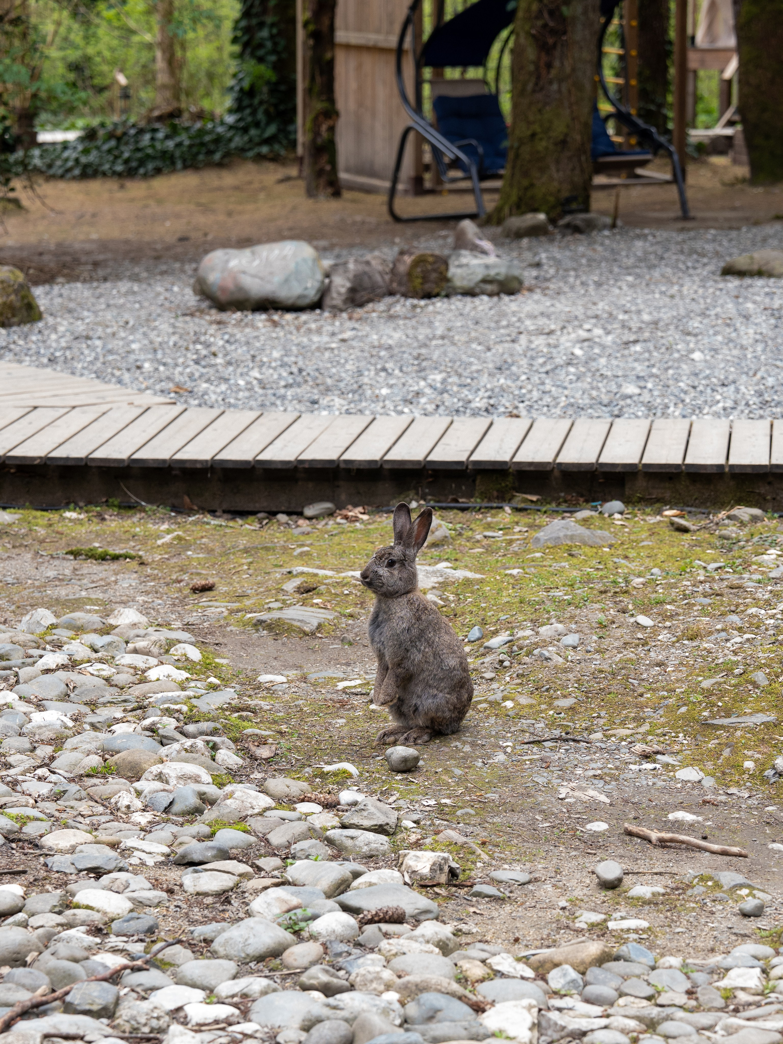 MICE мероприятие — джиппинг на каньон Псахо. Репортажный фотограф в Красной Поляне и Сочи Павлюченко Екатерина