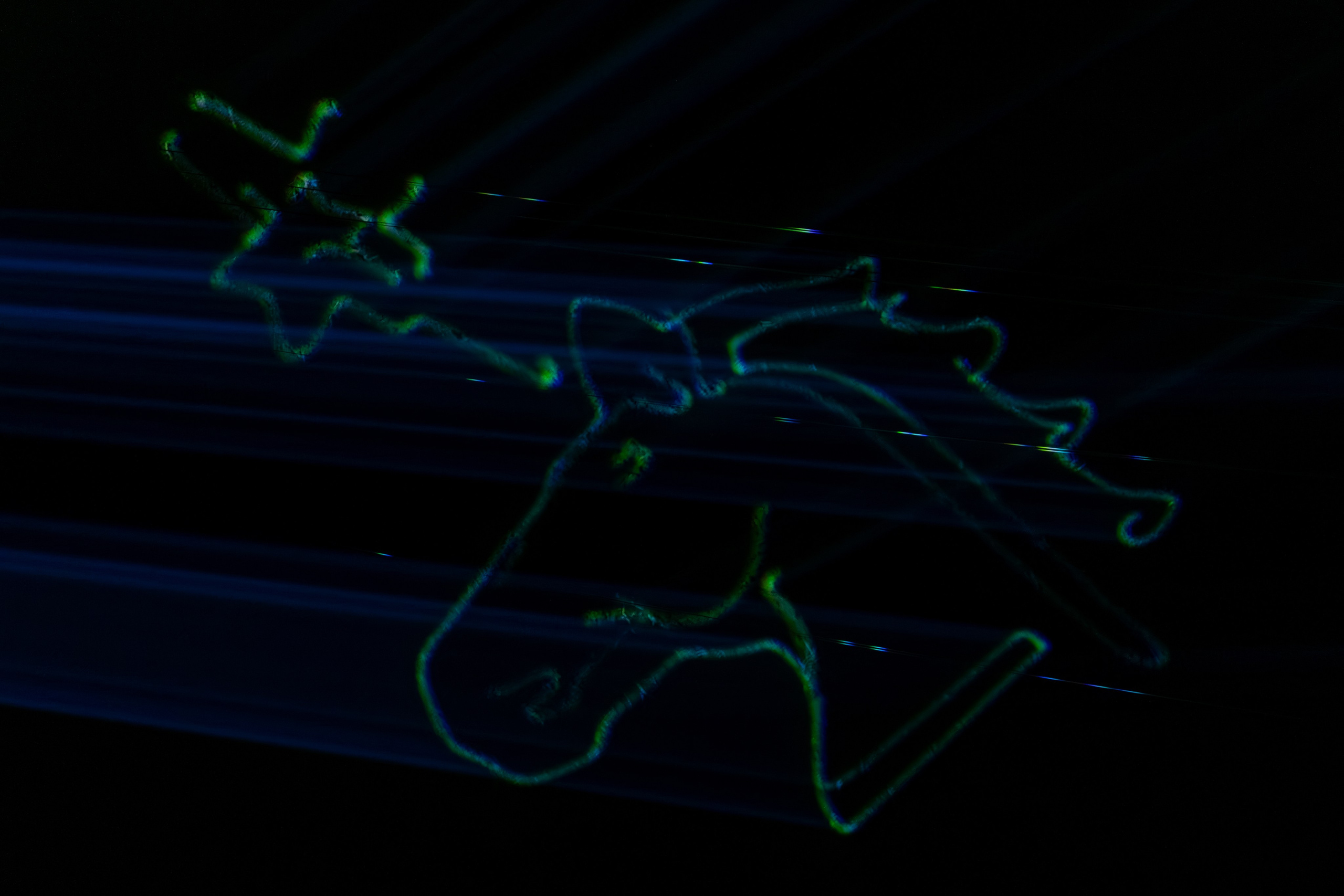 Skypark! Live. Репортажный фотограф в Красной Поляне и Сочи Павлюченко Екатерина