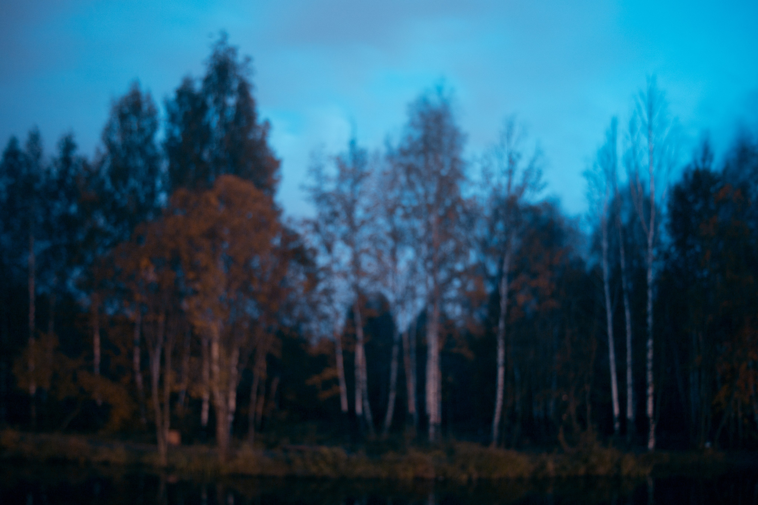 Виды Перми и окрестностей. Фотограф Никита Попов. Фотограф Пермь. Фотосессия в фотостудии Перми и на свежем воздухе