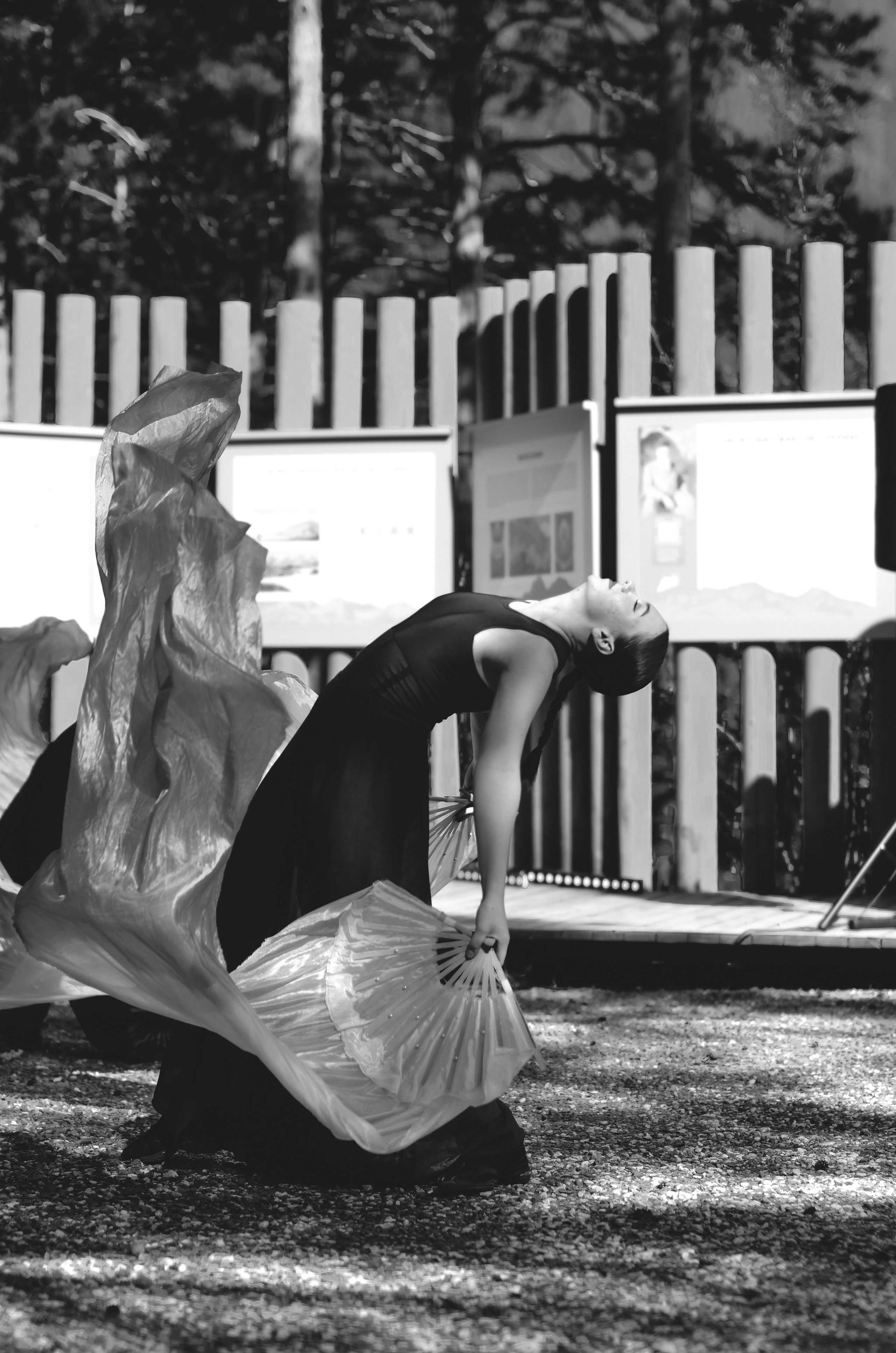 Фестиваль «Цветение Маральника на Алтае 2025». Фоторепортаж. Денисова Аля — фотограф для парных съемок и индивидуальных историй в Барнауле