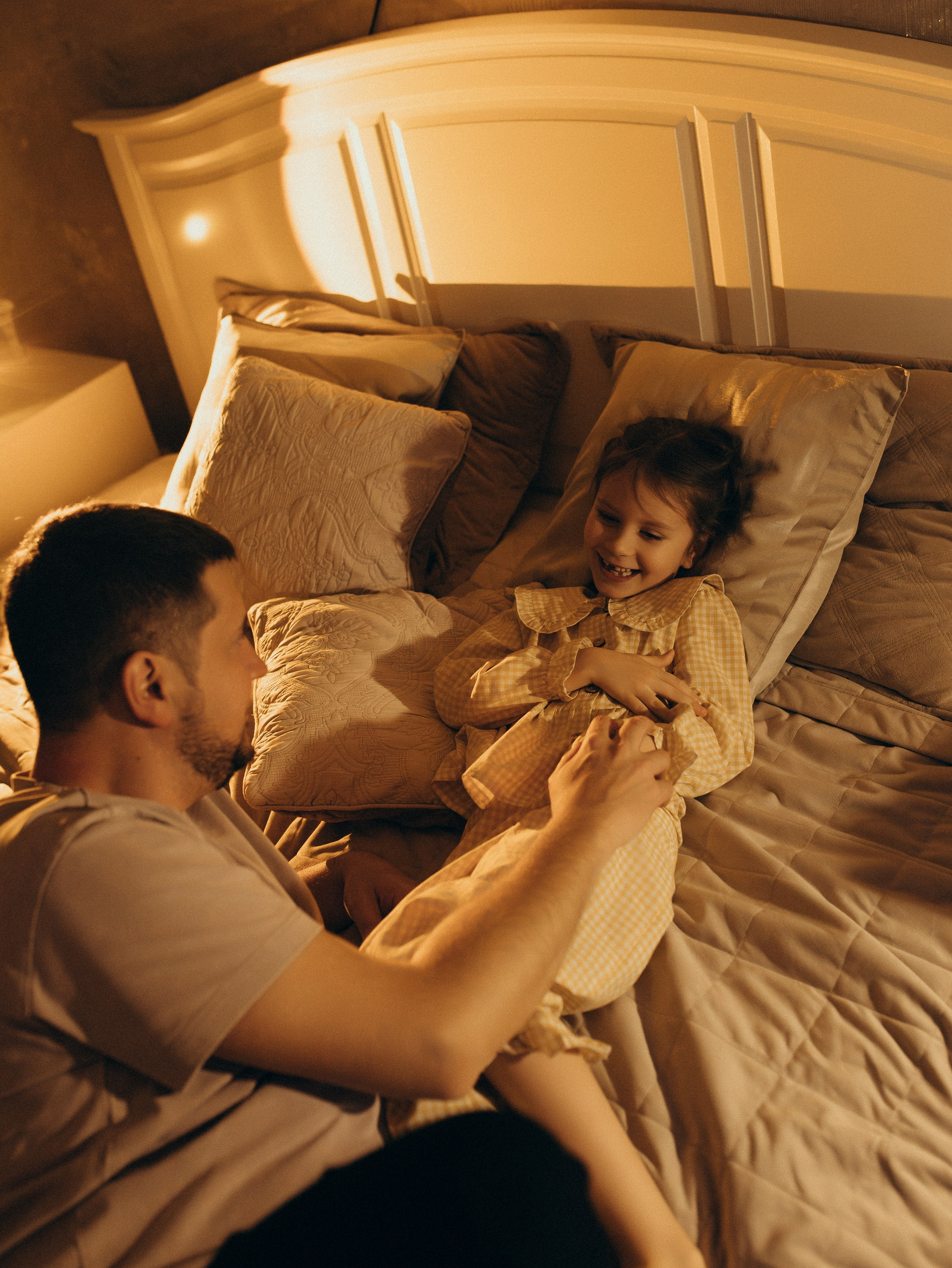 Домашняя история. Meryfotoidea