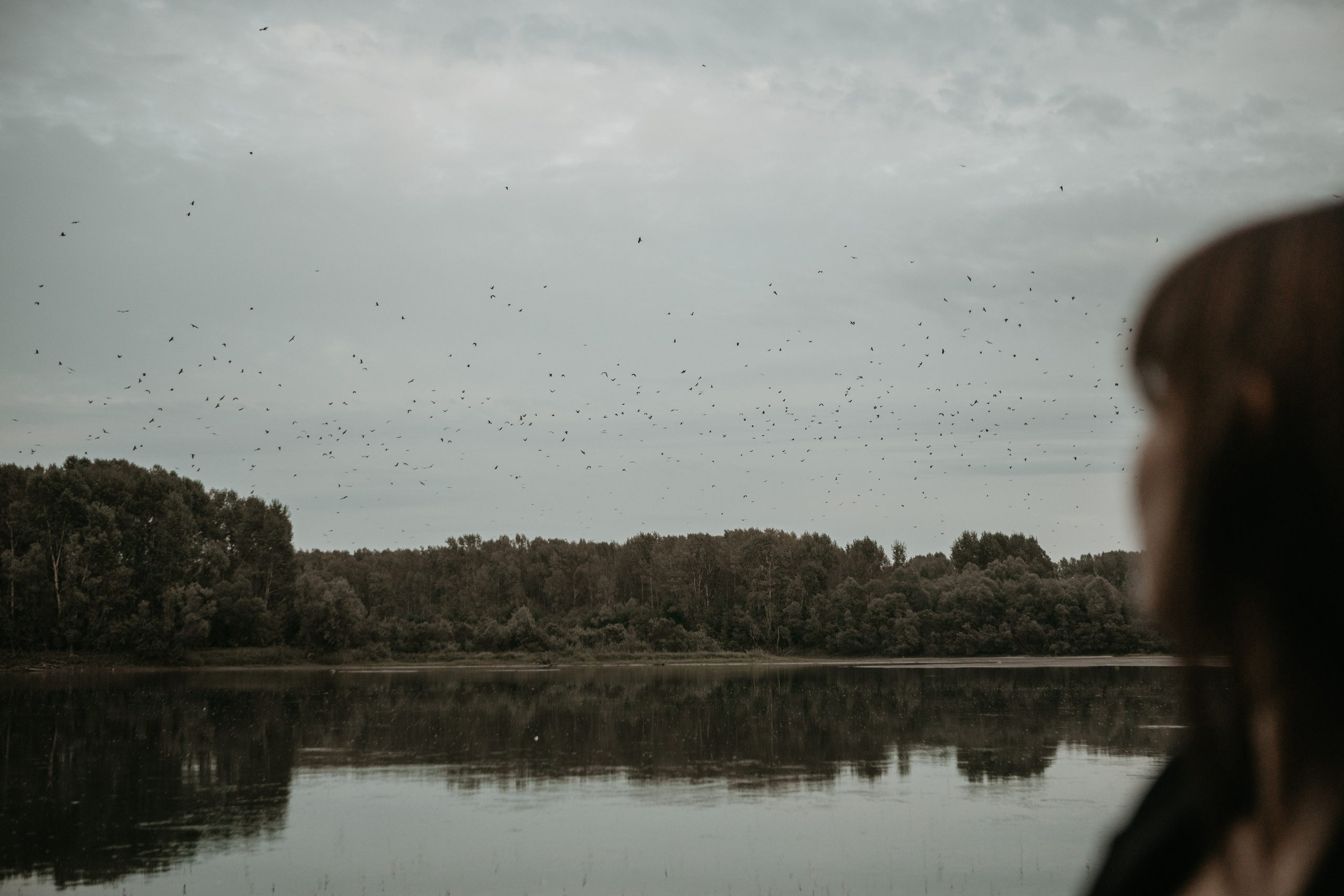 Фотосессия в реке. Дарья Белякова. Свадебный, детский и семейный фотограф в городе Бийск