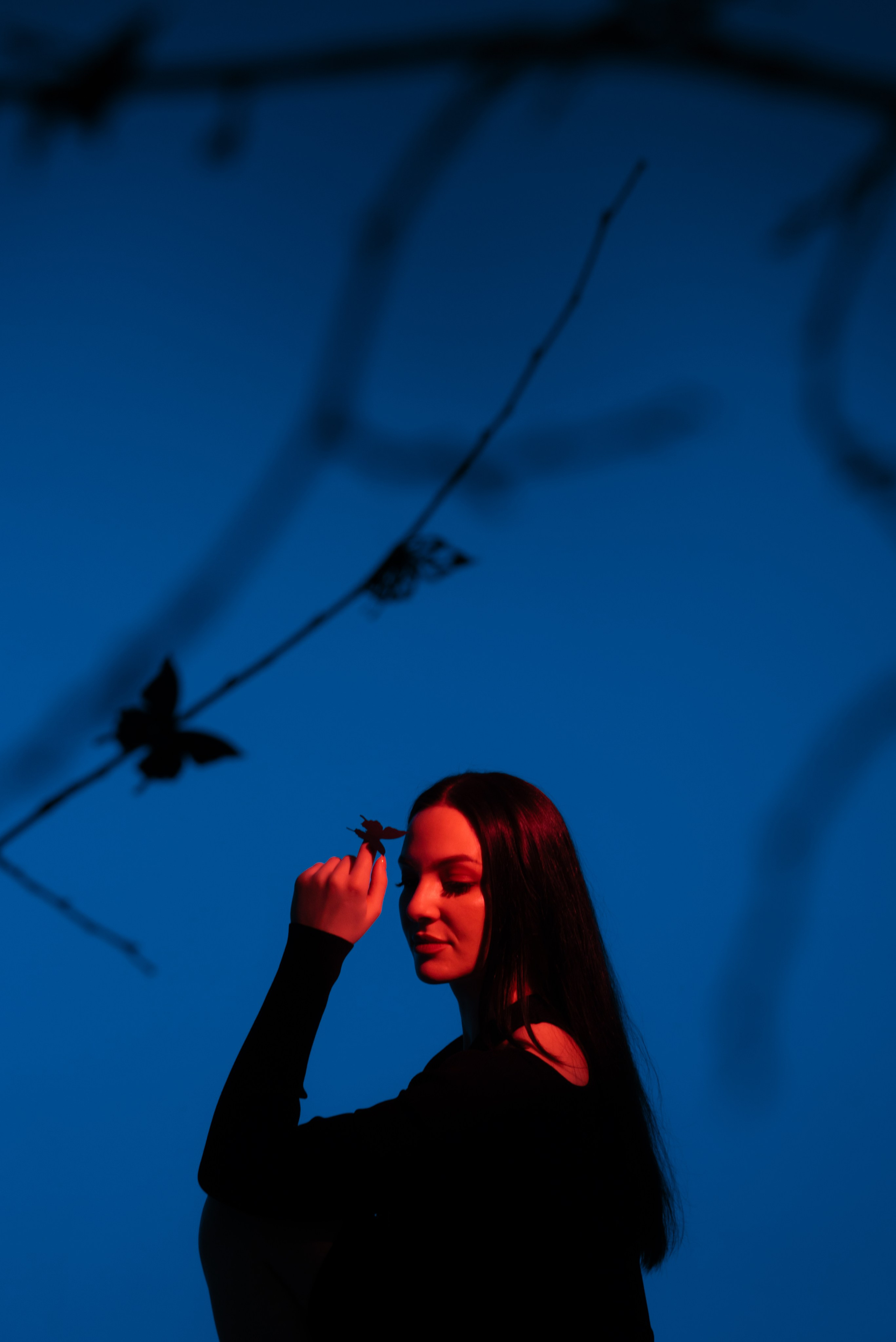 Цвет и свет