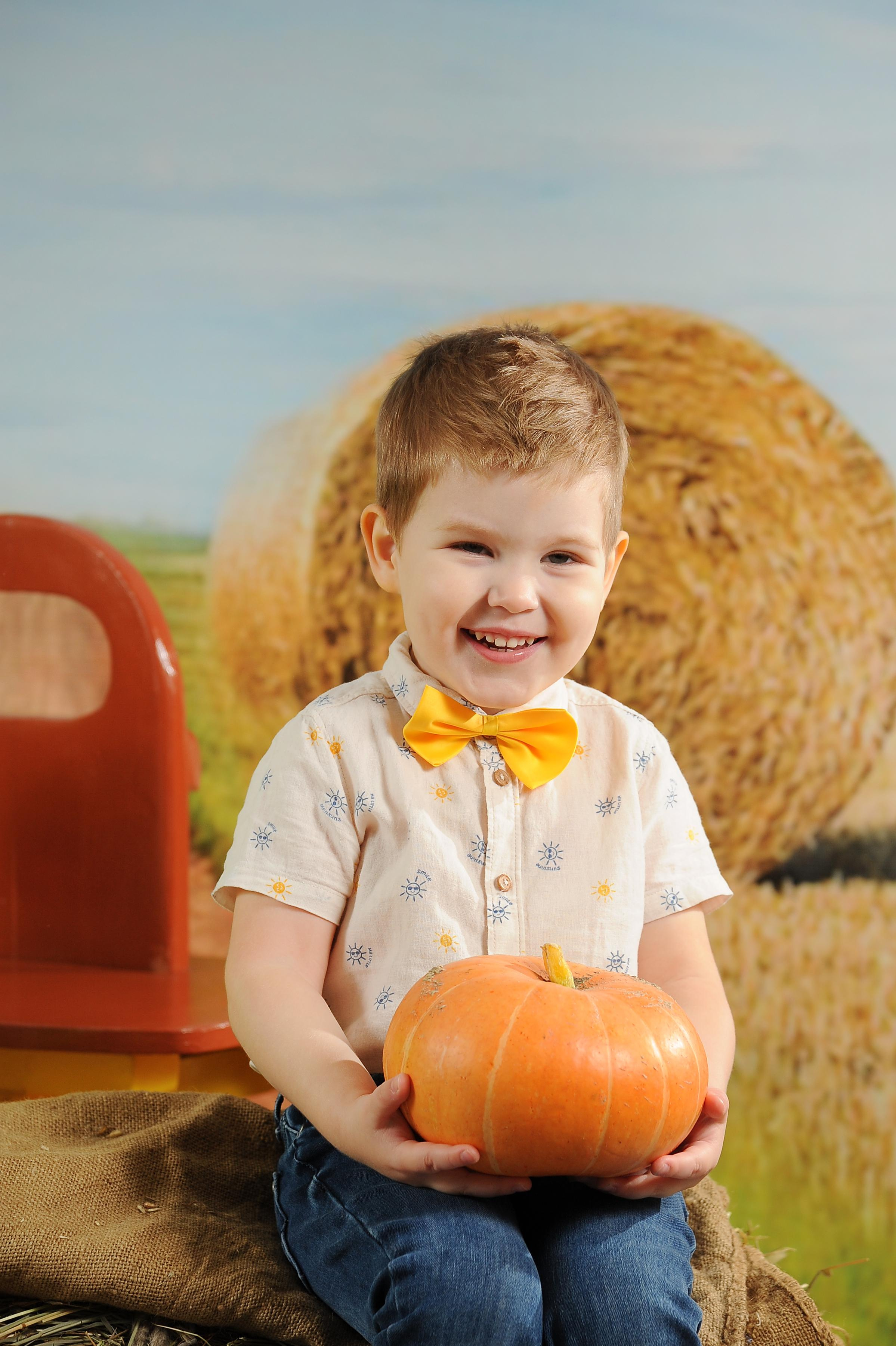 Веселый Фермер 2023. Новогодний лес