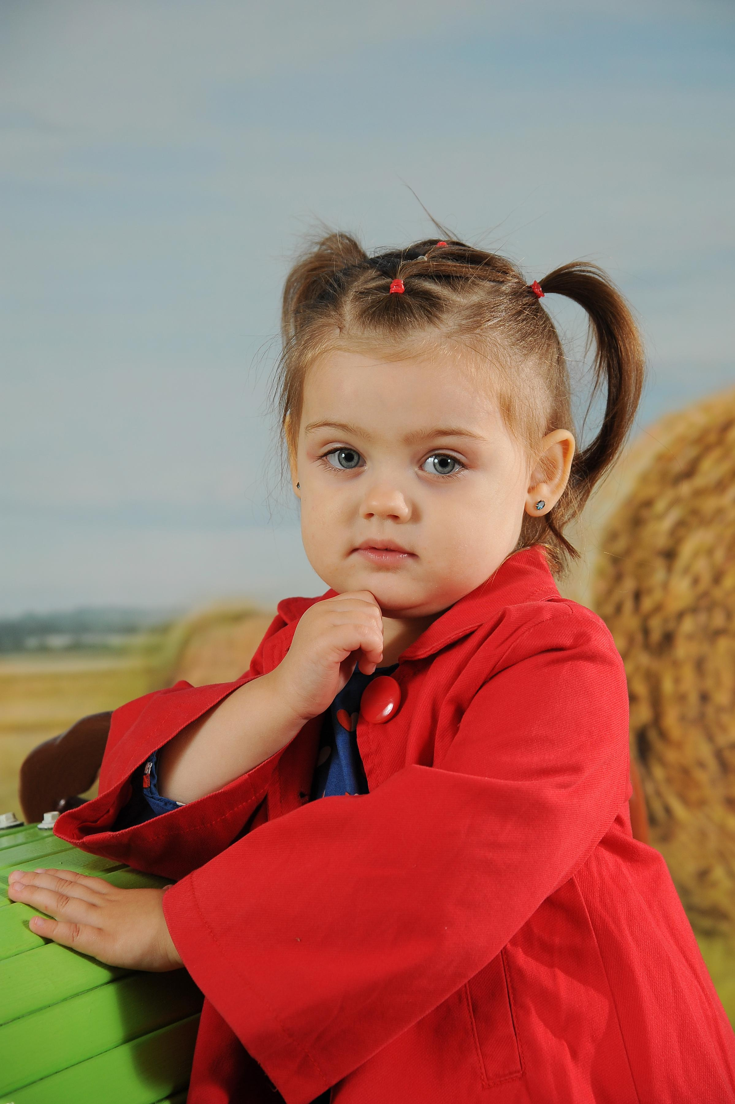 Веселый Фермер 2023. Новогодний лес