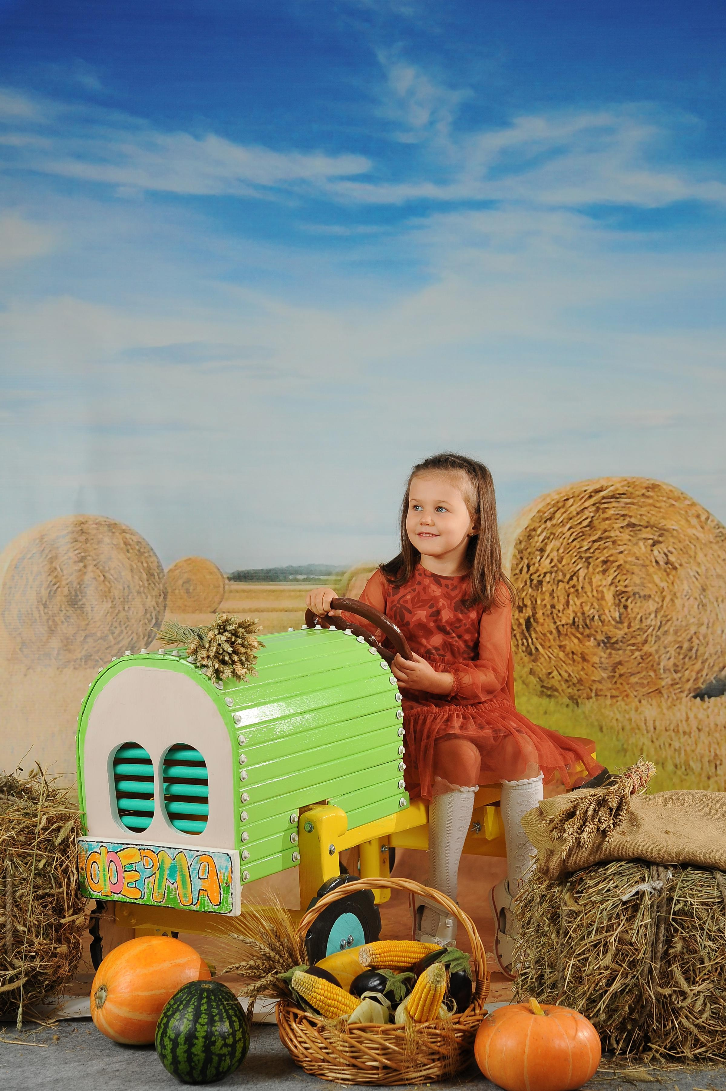 Веселый Фермер 2023. Новогодний лес