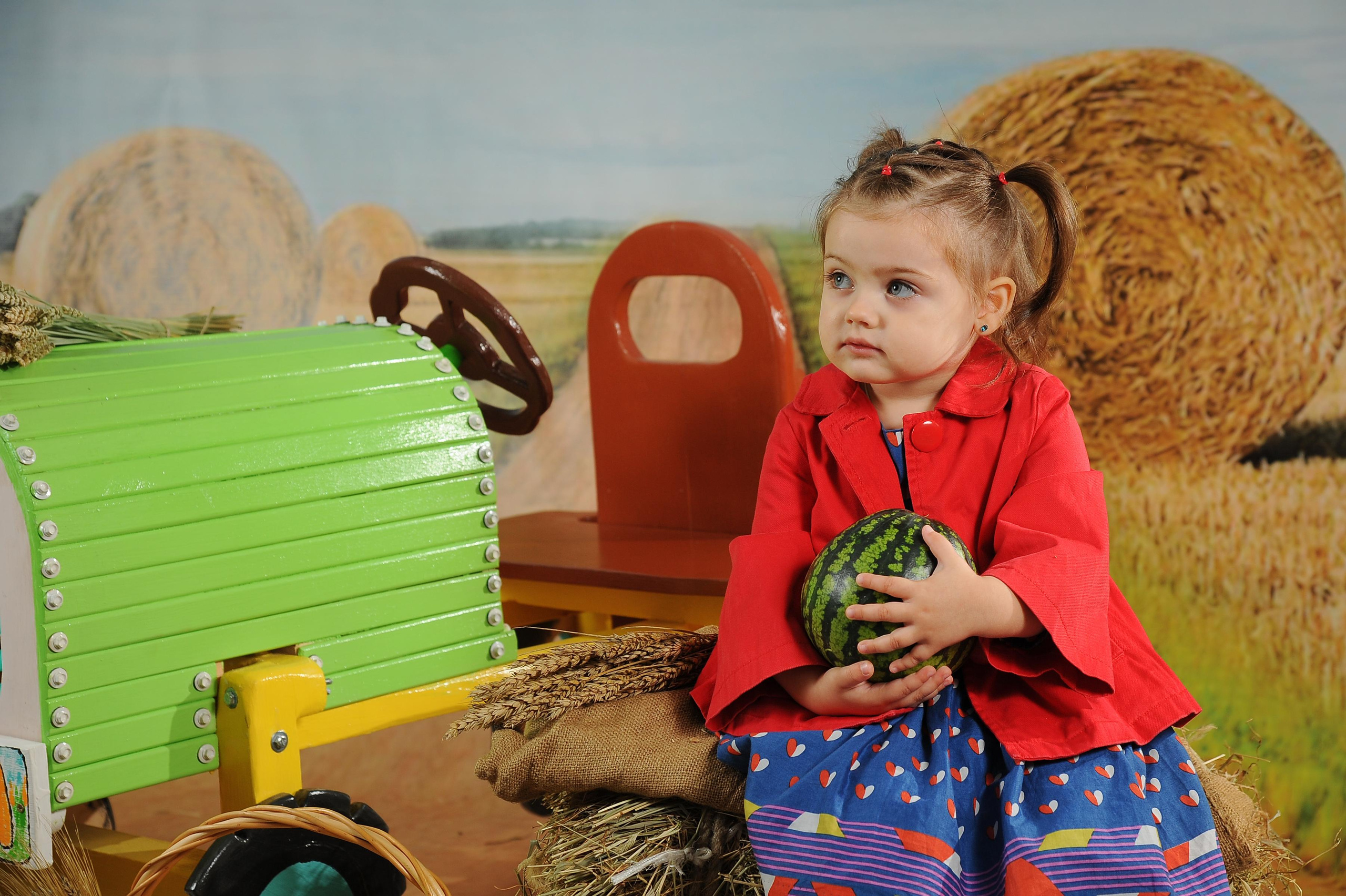 Веселый Фермер 2023. Новогодний лес