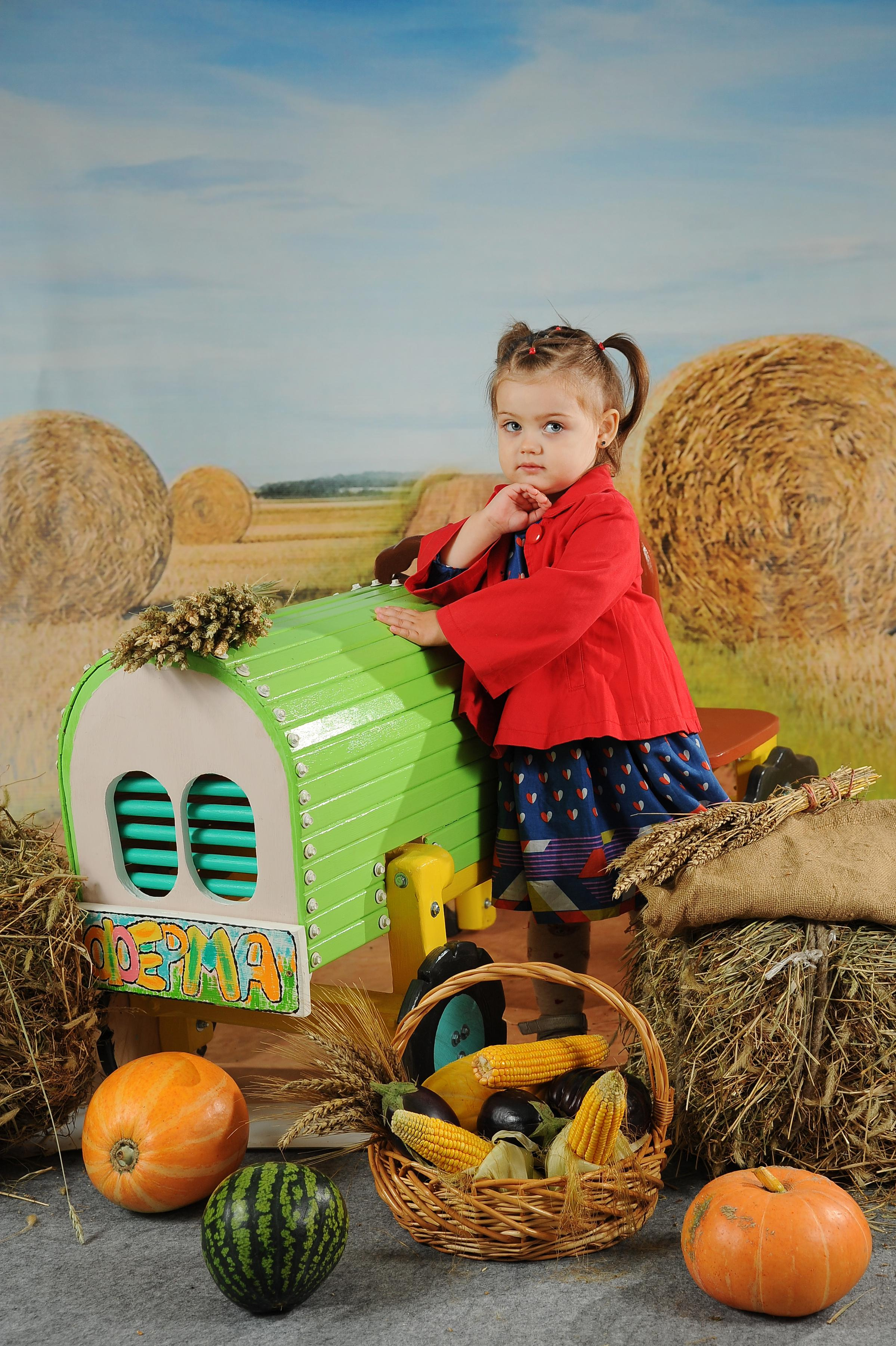 Веселый Фермер 2023. Новогодний лес