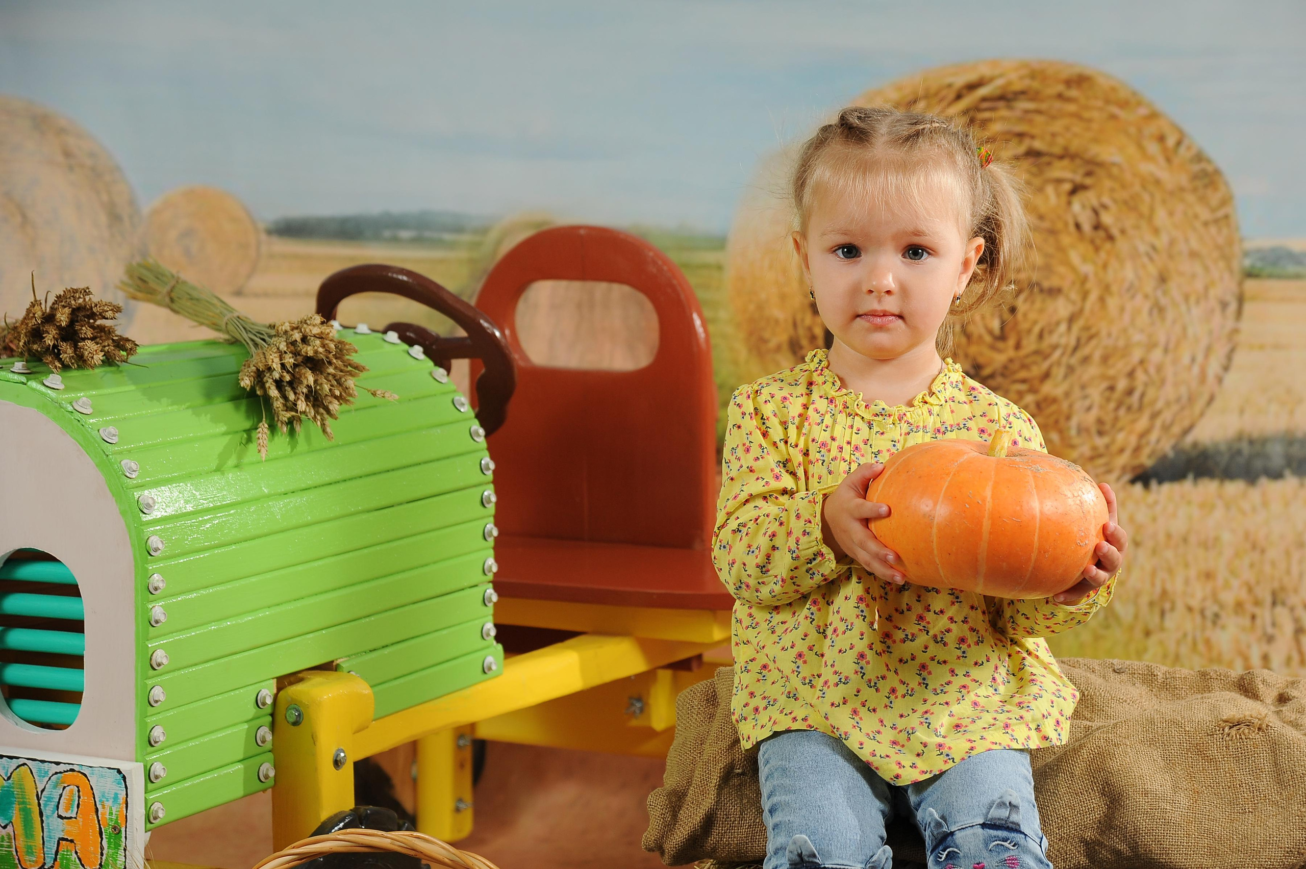 Веселый Фермер 2023. Новогодний лес