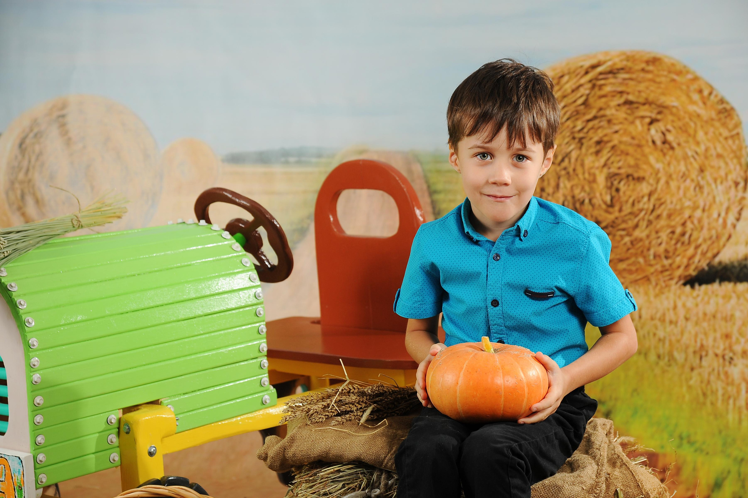 Веселый Фермер 2023. Новогодний лес