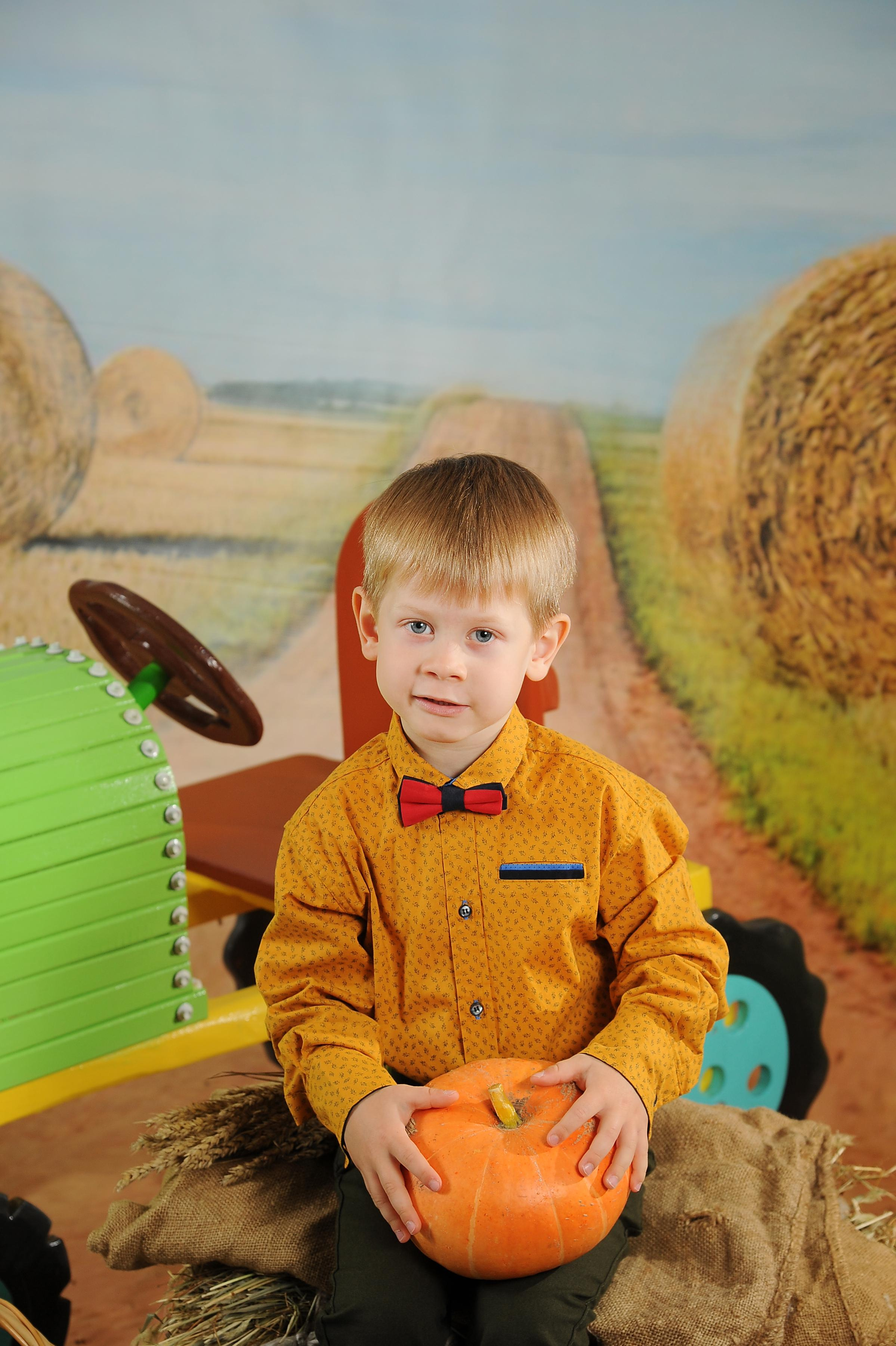 Веселый Фермер 2023. Новогодний лес