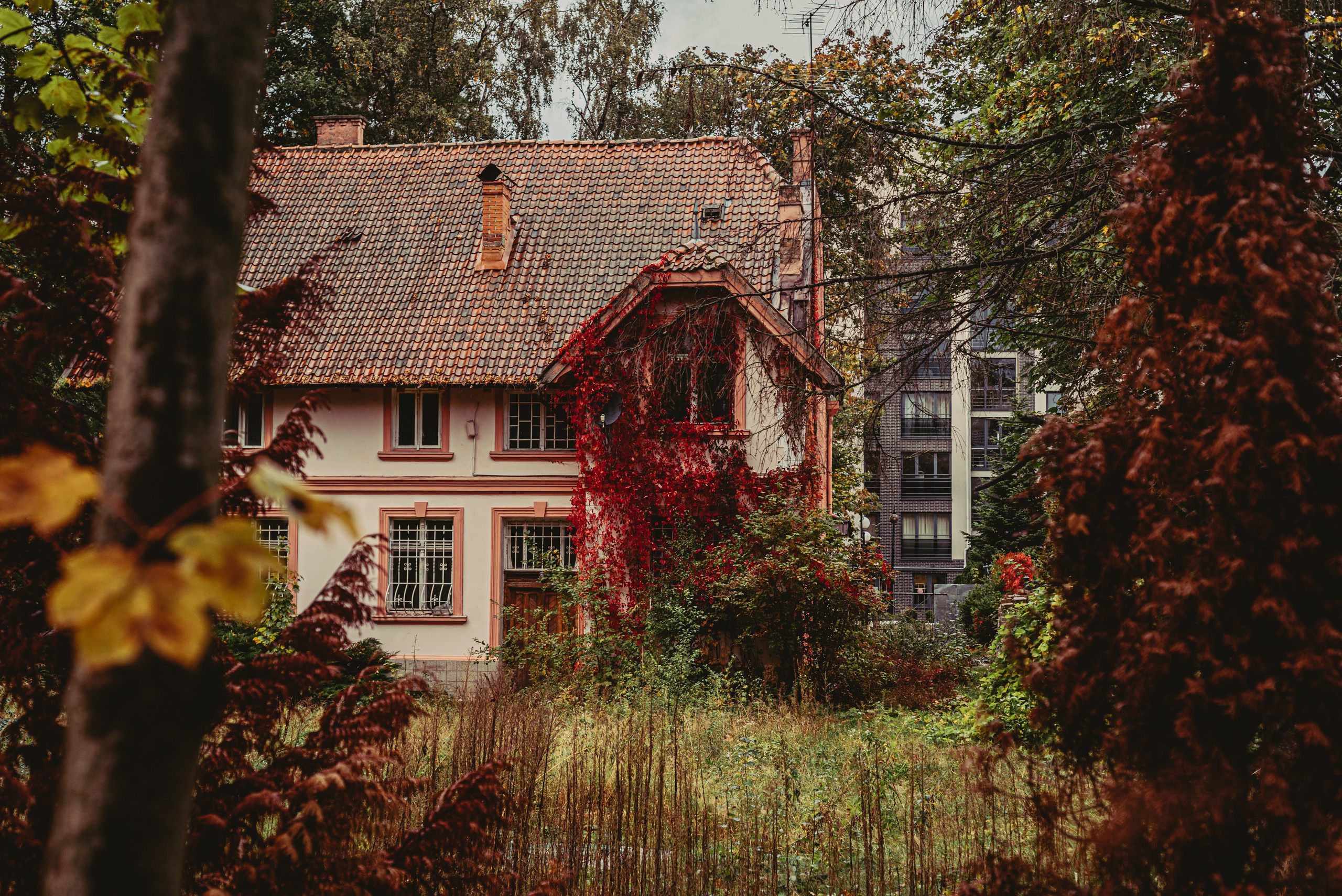 Калининград и его область: через объектив рекламного фотографа из Гуанчжо. Коммерческий и предметный фотограф в Гуанчжоу Коваленко Александр