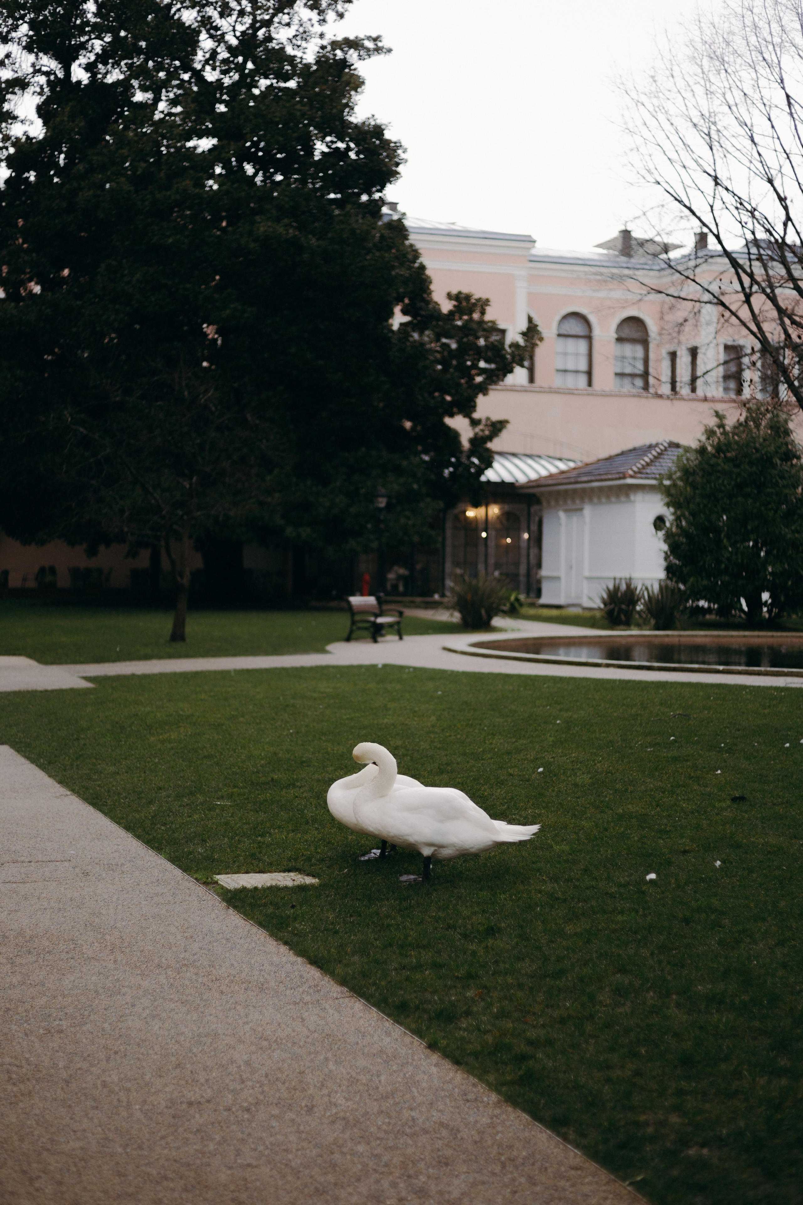 Стамбул. Профессиональный Фотограф во Владимире, в Москве и в Суздале — Полина Романычева