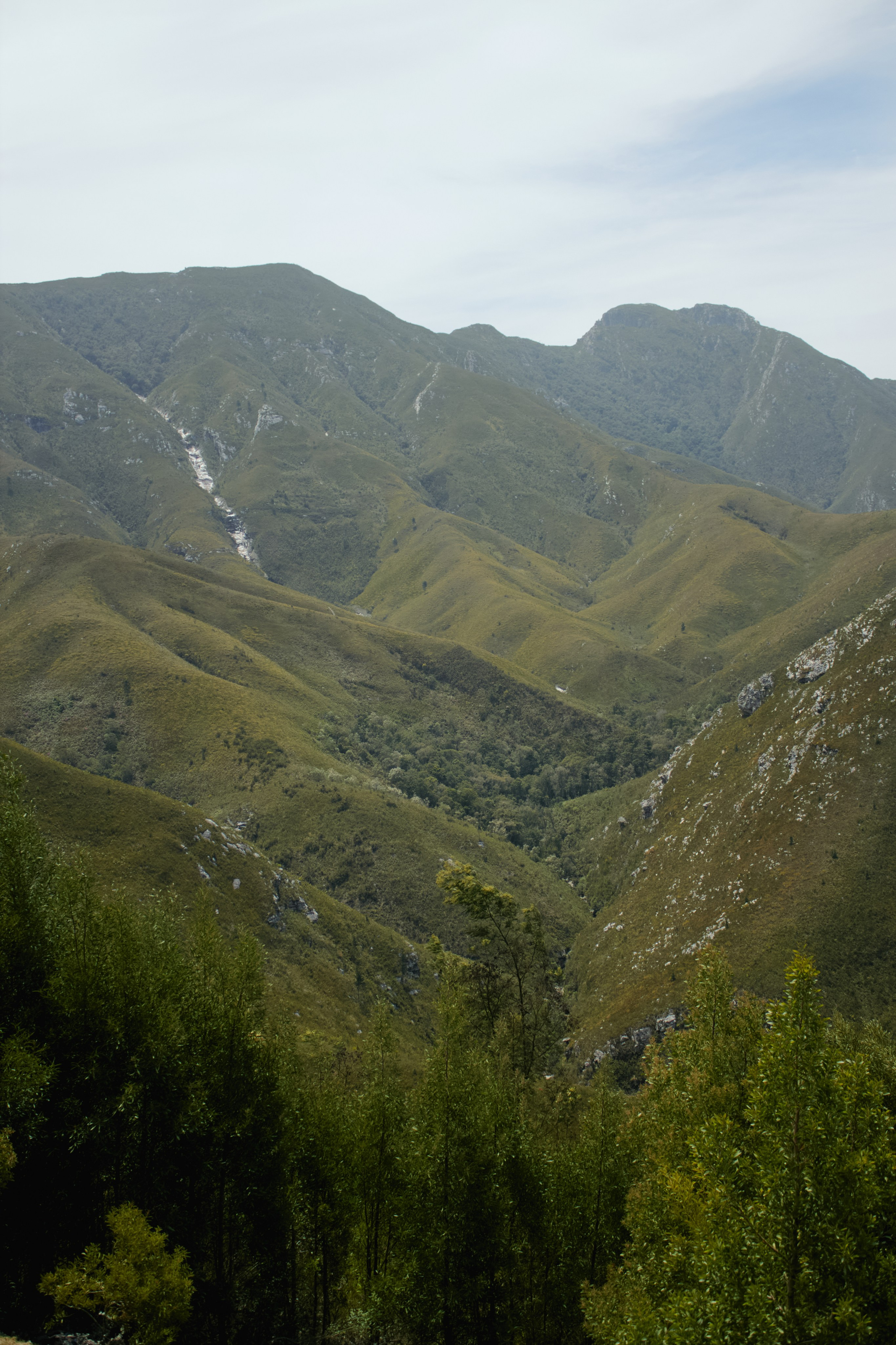 ЮАР. Профессиональный Фотограф во Владимире, в Москве и в Суздале — Полина Романычева