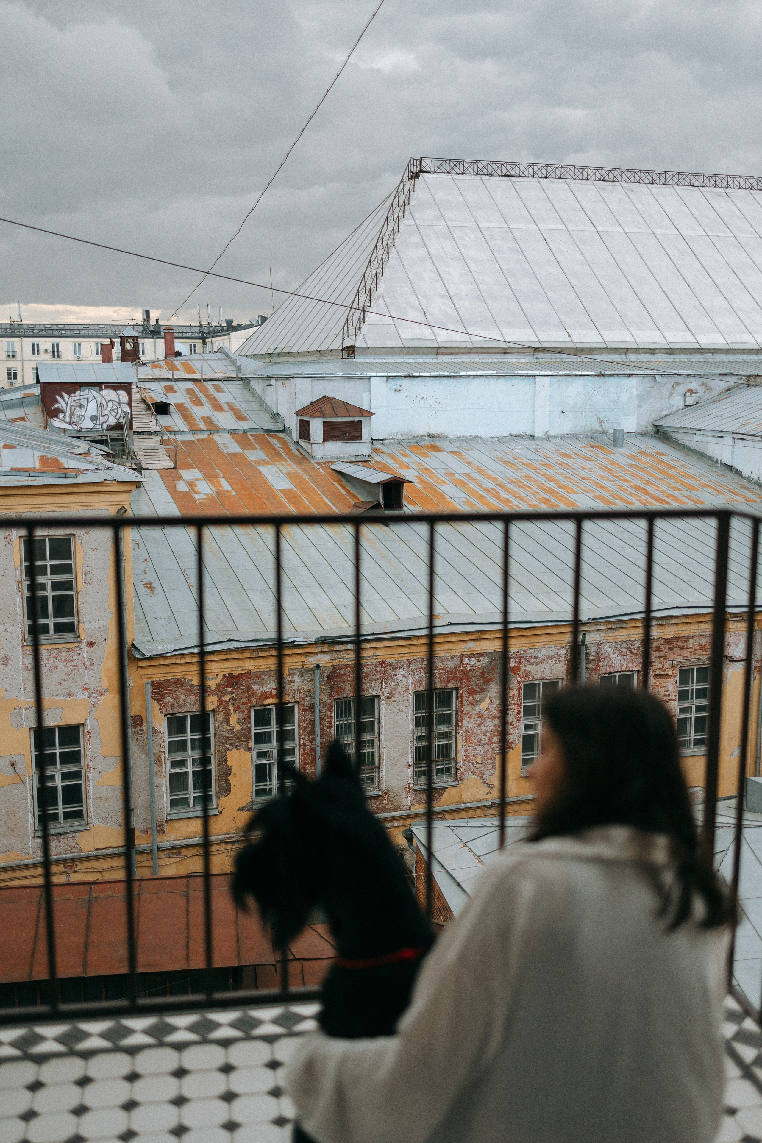 Умбра и Даша. Фотограф анималист Анастасия Пикей