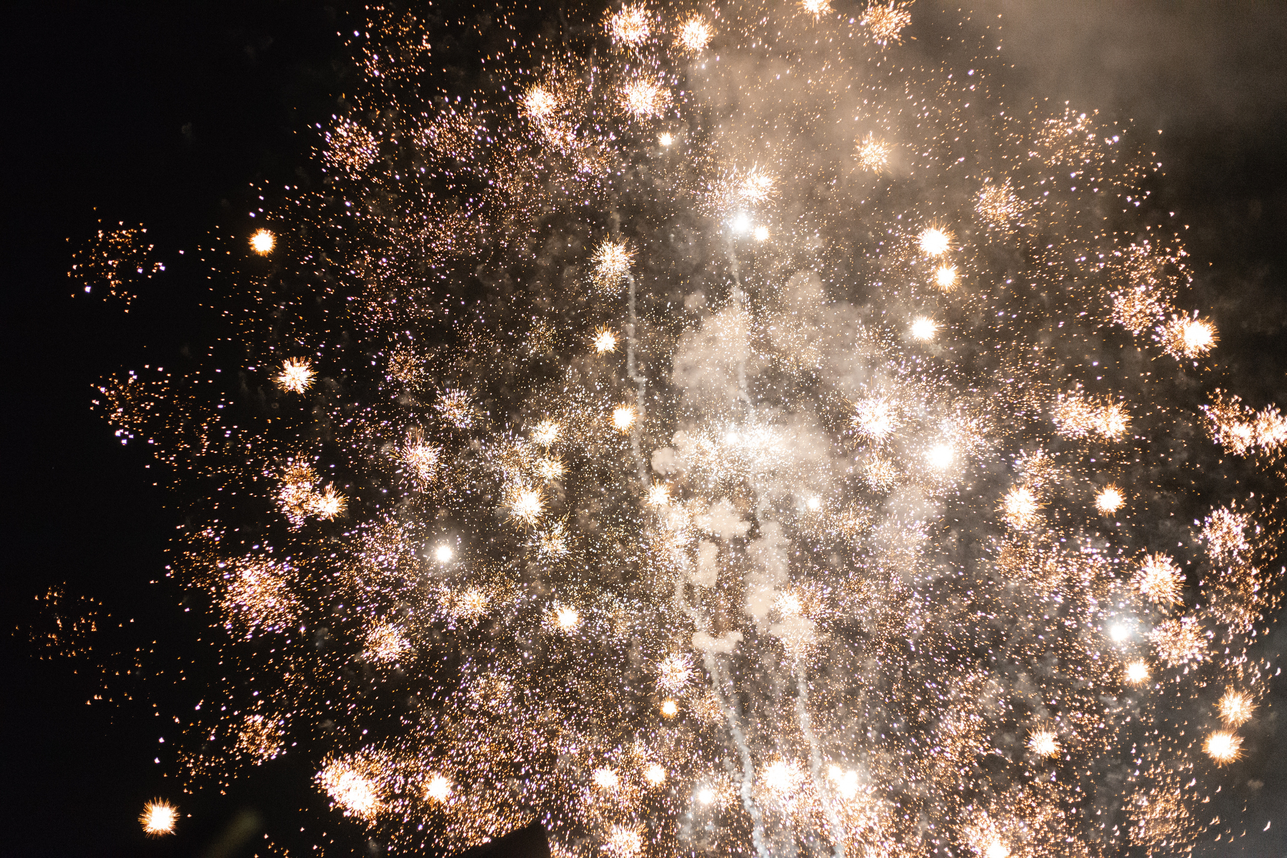 Дима и Настя. Фотограф Александр Чешуин