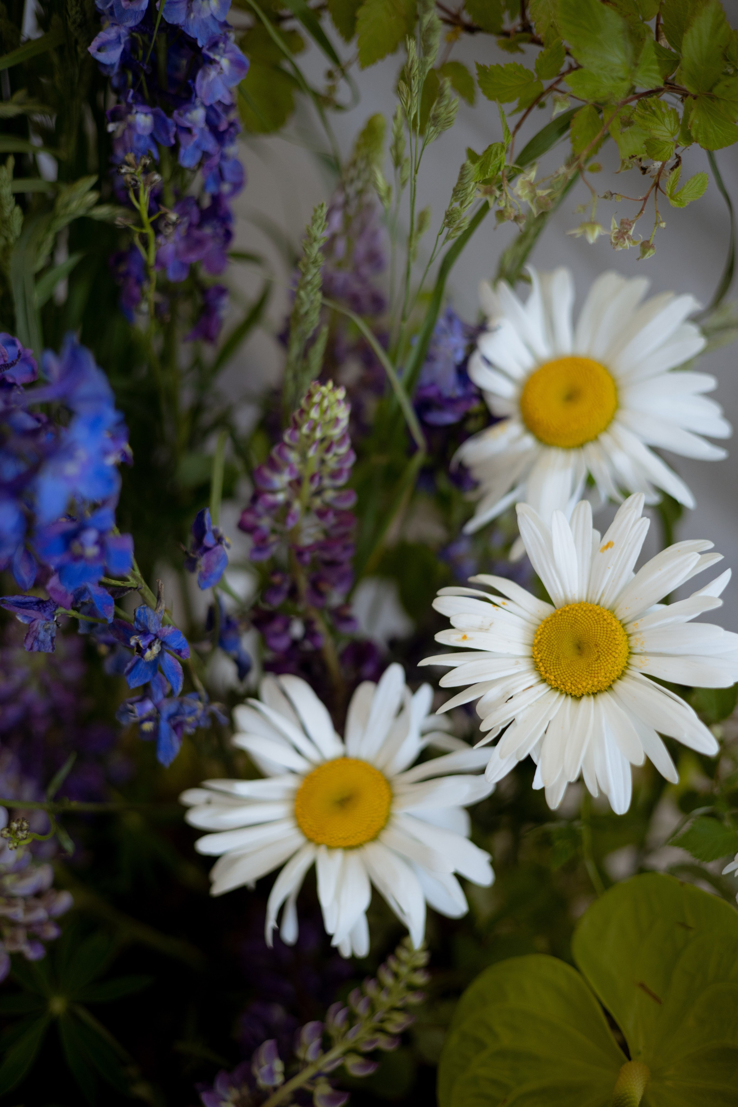 «Московское небо». Оформление свадеб, декор свадеб Вера Маркова, Москва