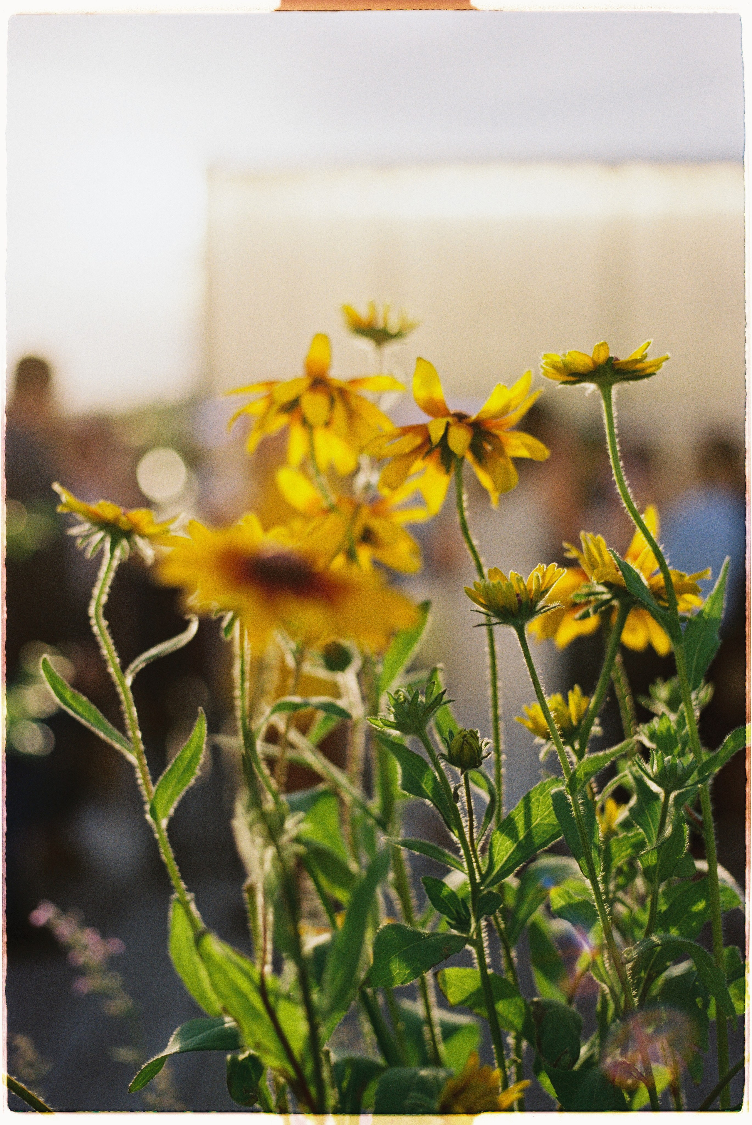 GARAGE РОКЕТ Клумб. Илья Симонов фотограф москва